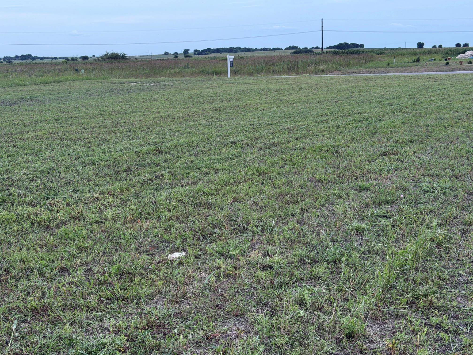 1178 Saltgrass DR, Salado, TX 76571
