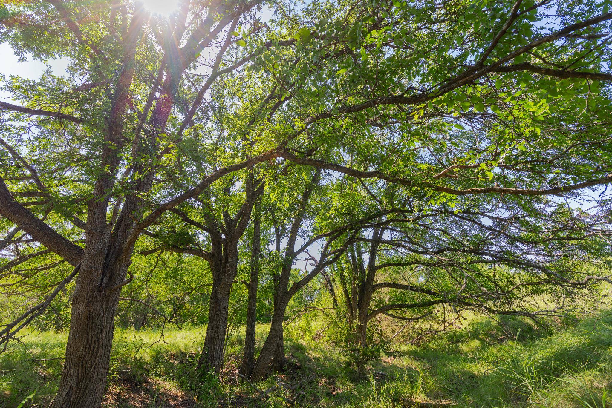 TBD County Road 180 Mesquite Hollow Ranch RD, Purmela, TX 76566