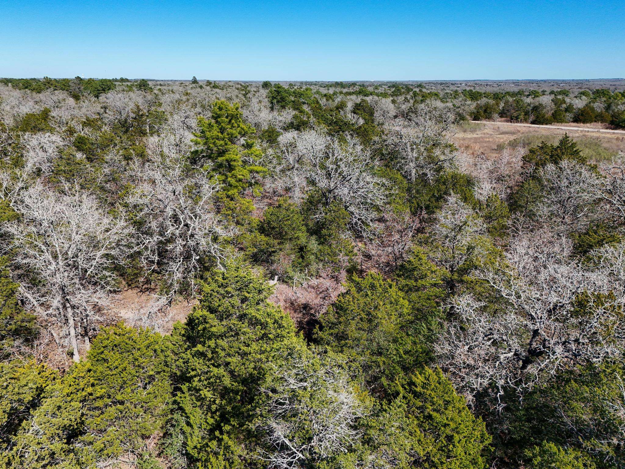 Lot 3 South Old Potato RD, Paige, TX 78659