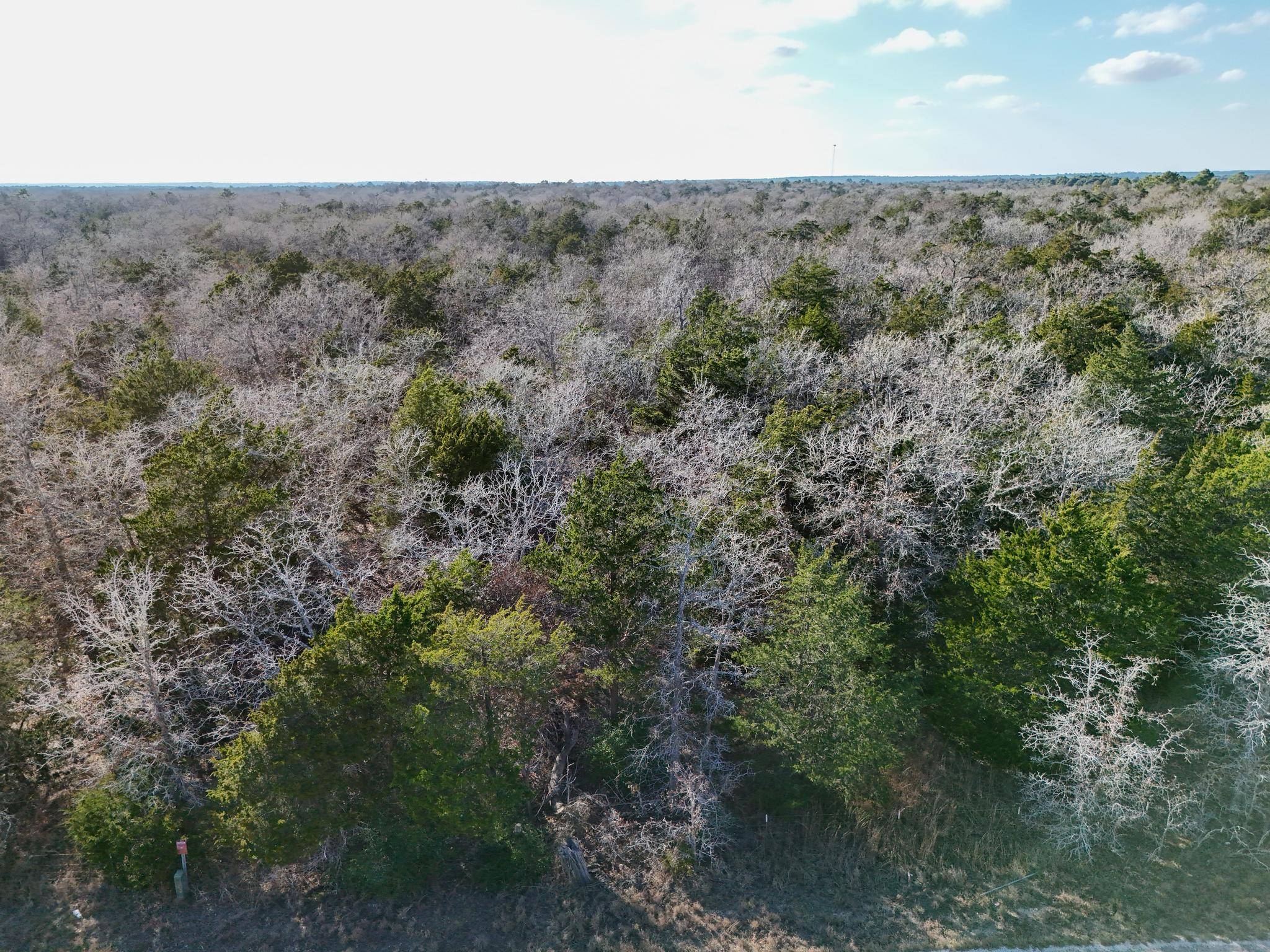Lot 3 South Old Potato RD, Paige, TX 78659
