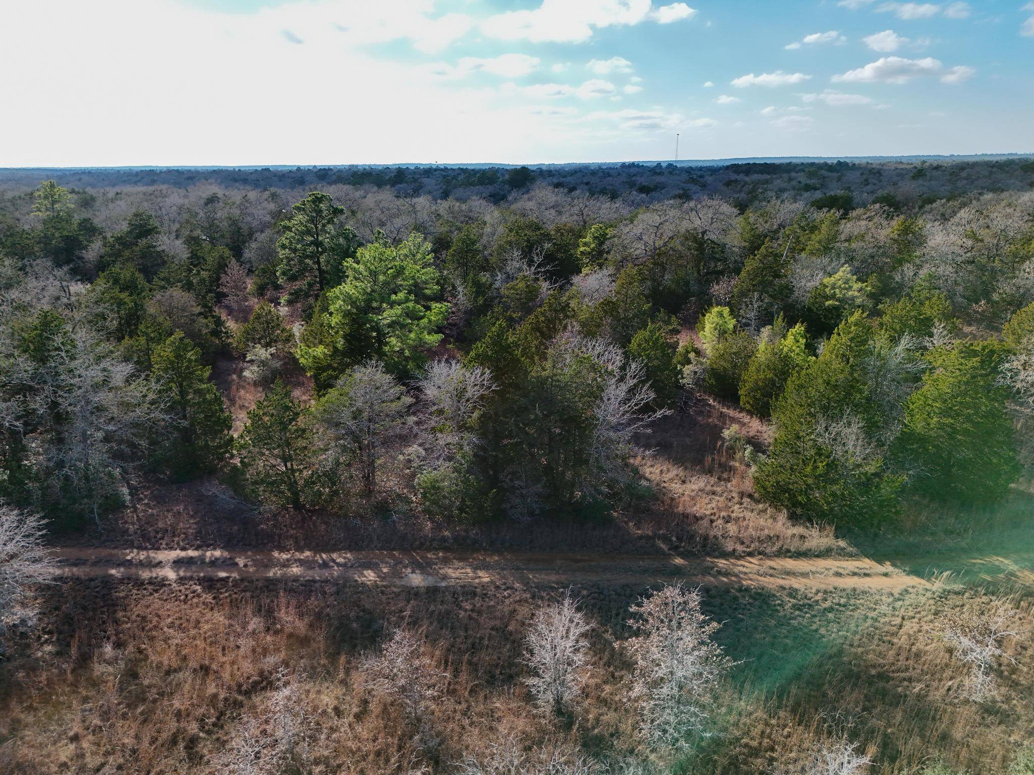 Lot 3 South Old Potato RD, Paige, TX 78659