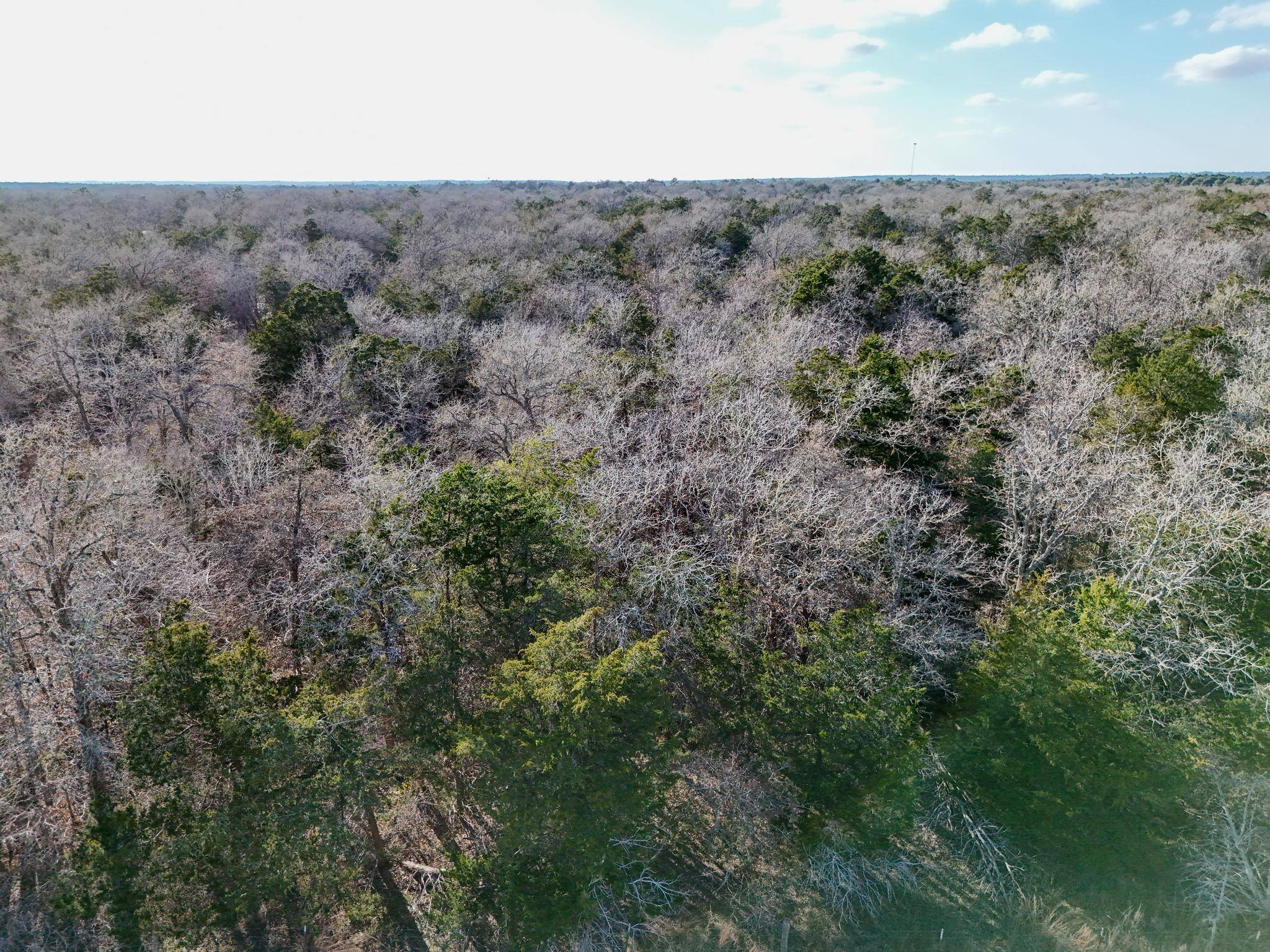 Lot 3 South Old Potato RD, Paige, TX 78659