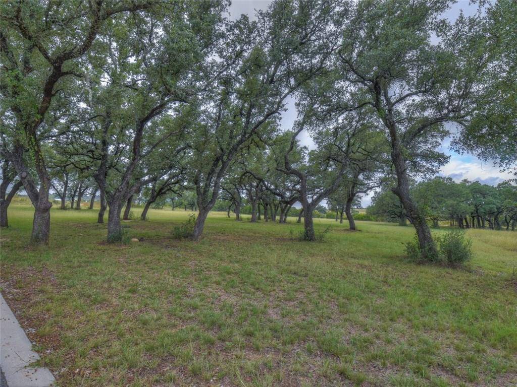 45 Clear Springs, Marble Falls, TX 78654