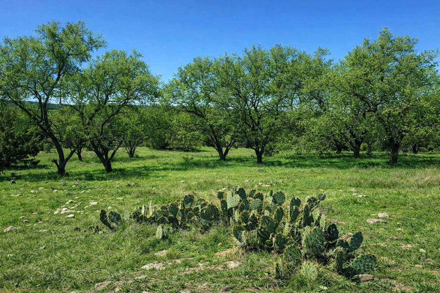 TBD View CIR, Lampasas, TX 76550