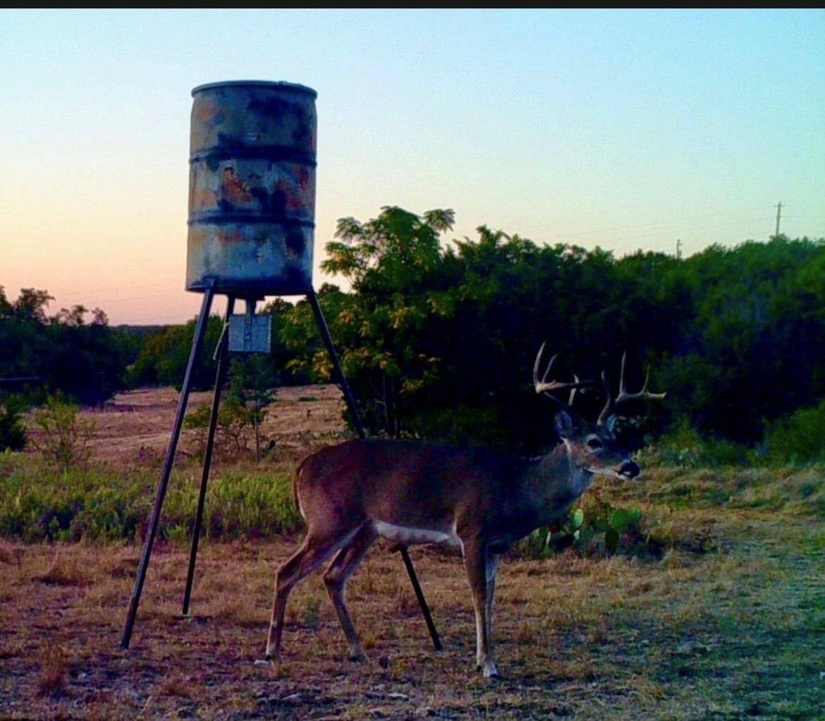 1580 County Road 2113 RD, Lometa, TX 76853