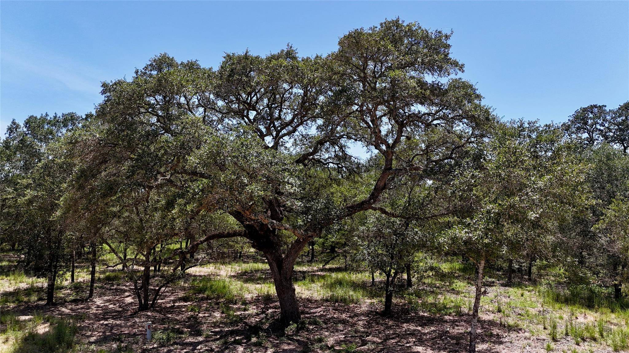 182 County Road 123F, Hallettsville, TX 77964