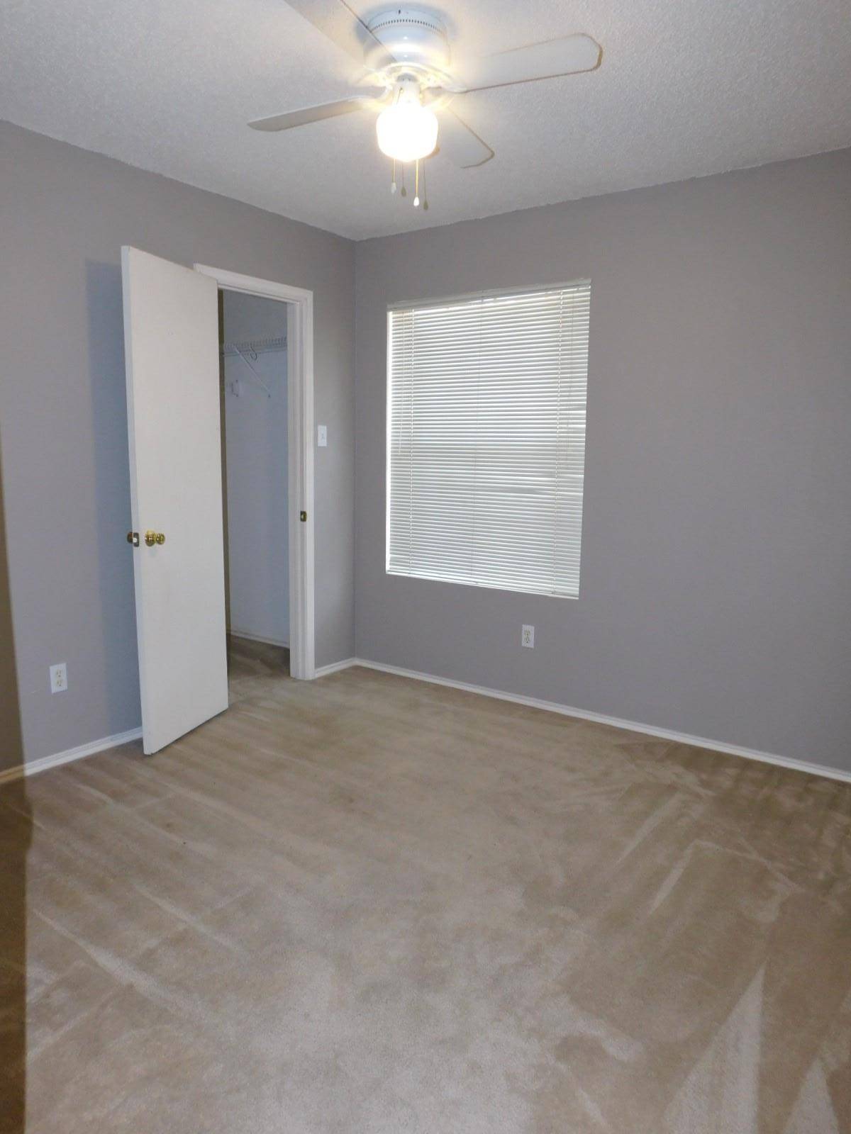 1509 Black Locust DR, Pflugerville, TX 78660