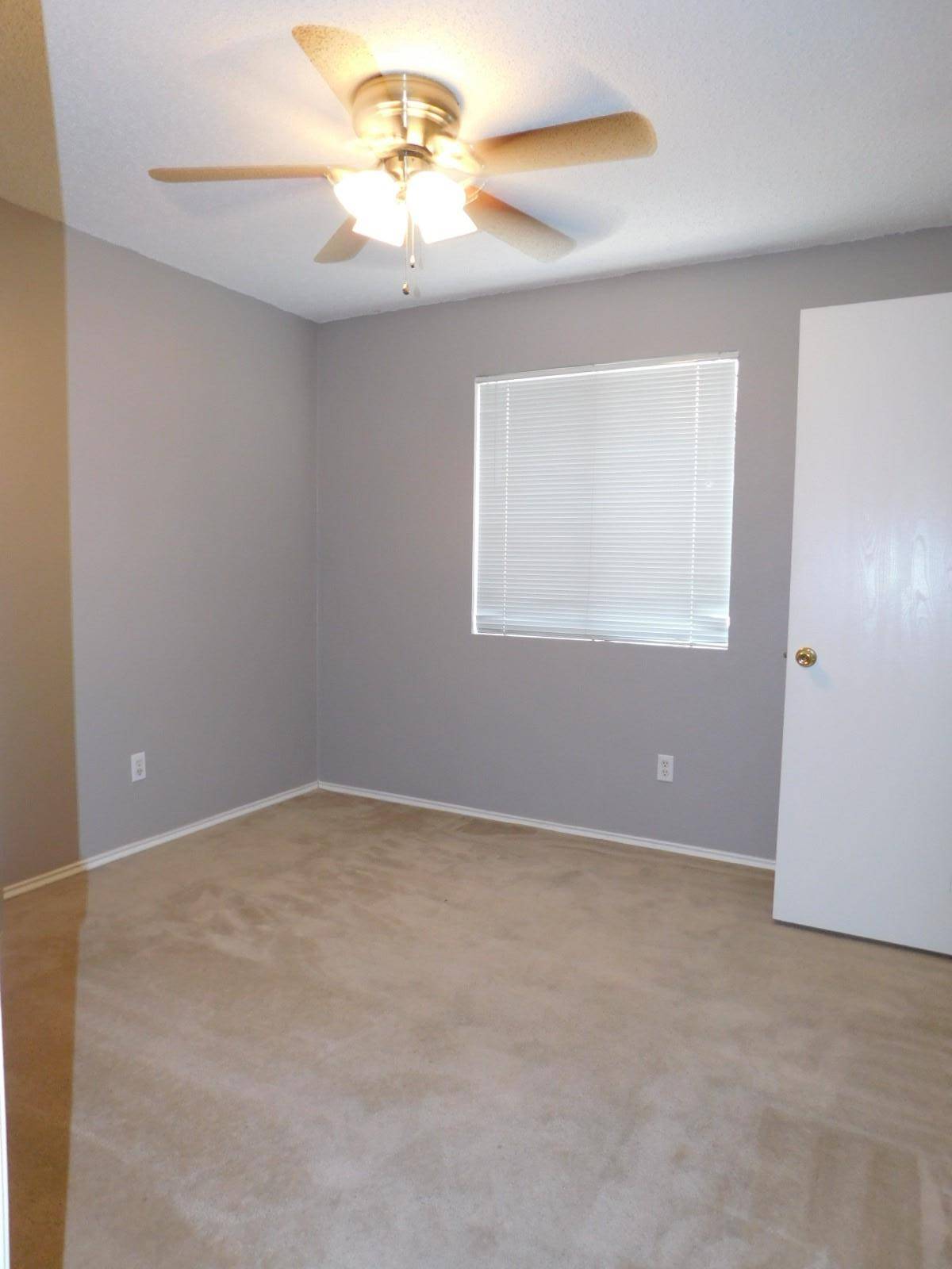 1509 Black Locust DR, Pflugerville, TX 78660