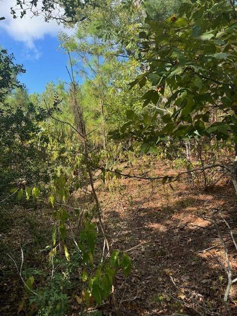 Lots 1338 and 1339 Tahitian DR, Bastrop, TX 78602