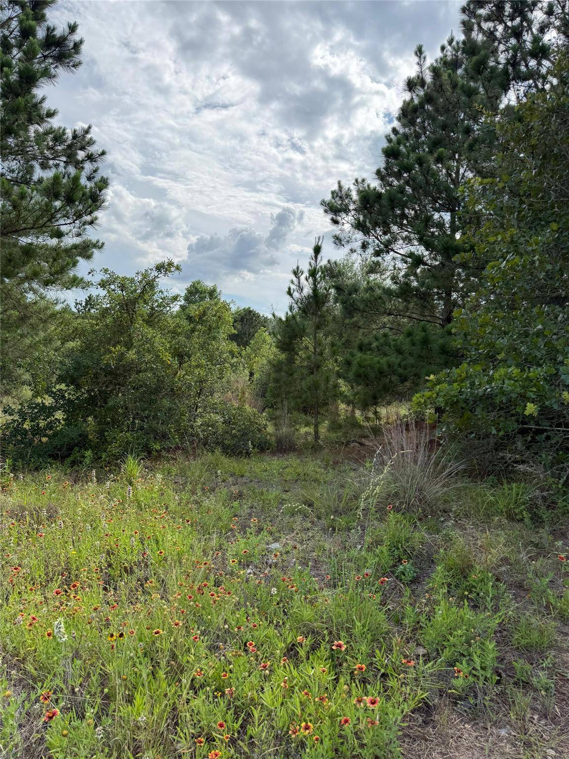 Lots 89-90 Pintail LN, Bastrop, TX 78602
