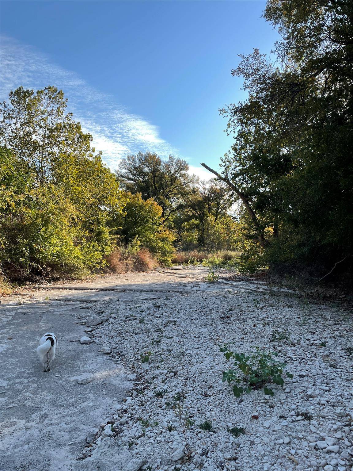 5.48 W Fm 150, Driftwood, TX 78619