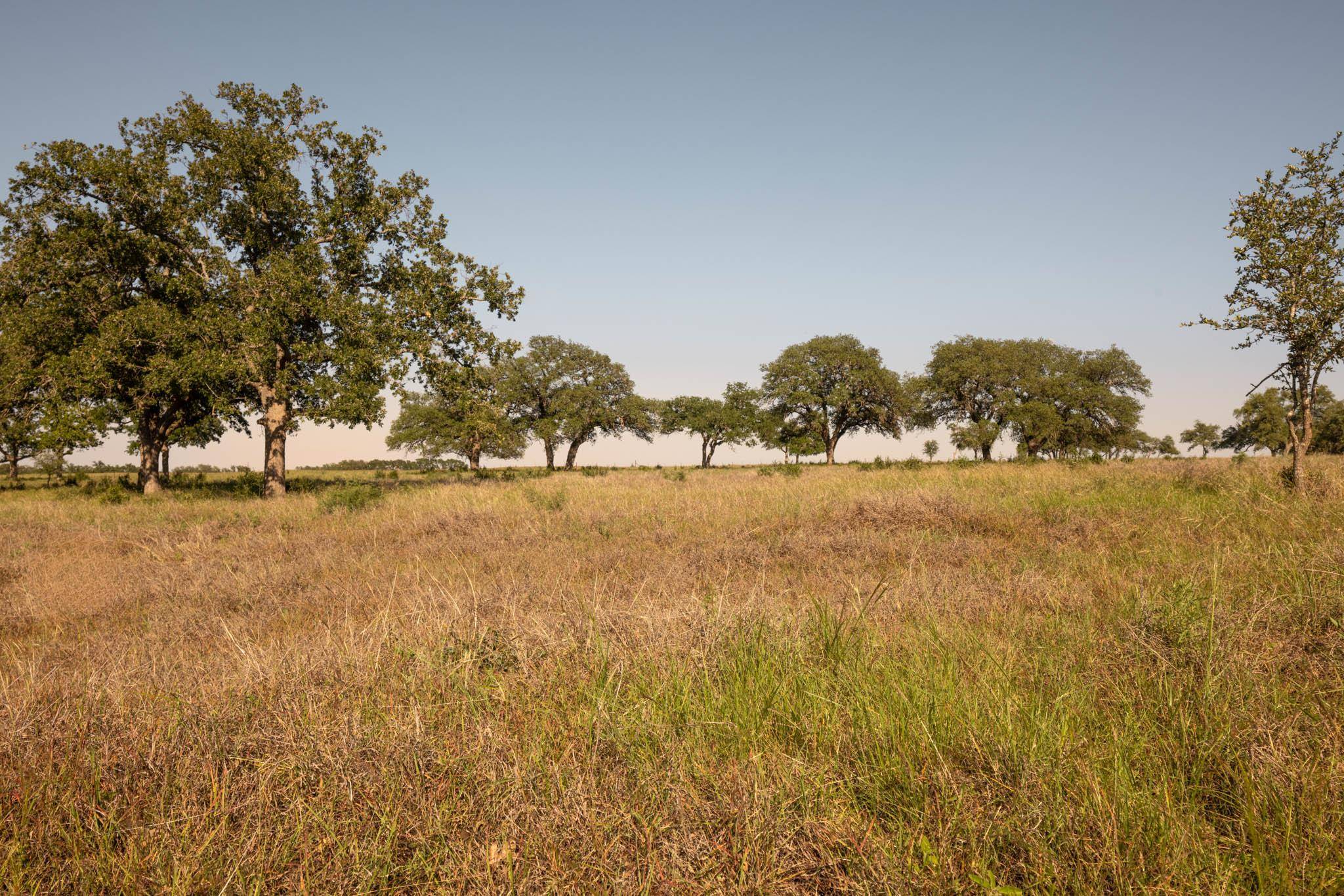 1755 Towhead Valley RD, Johnson City, TX 78636