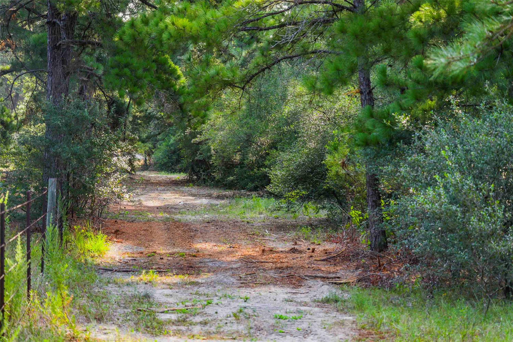 TBD Stiewert Lane, Paige, TX 78659