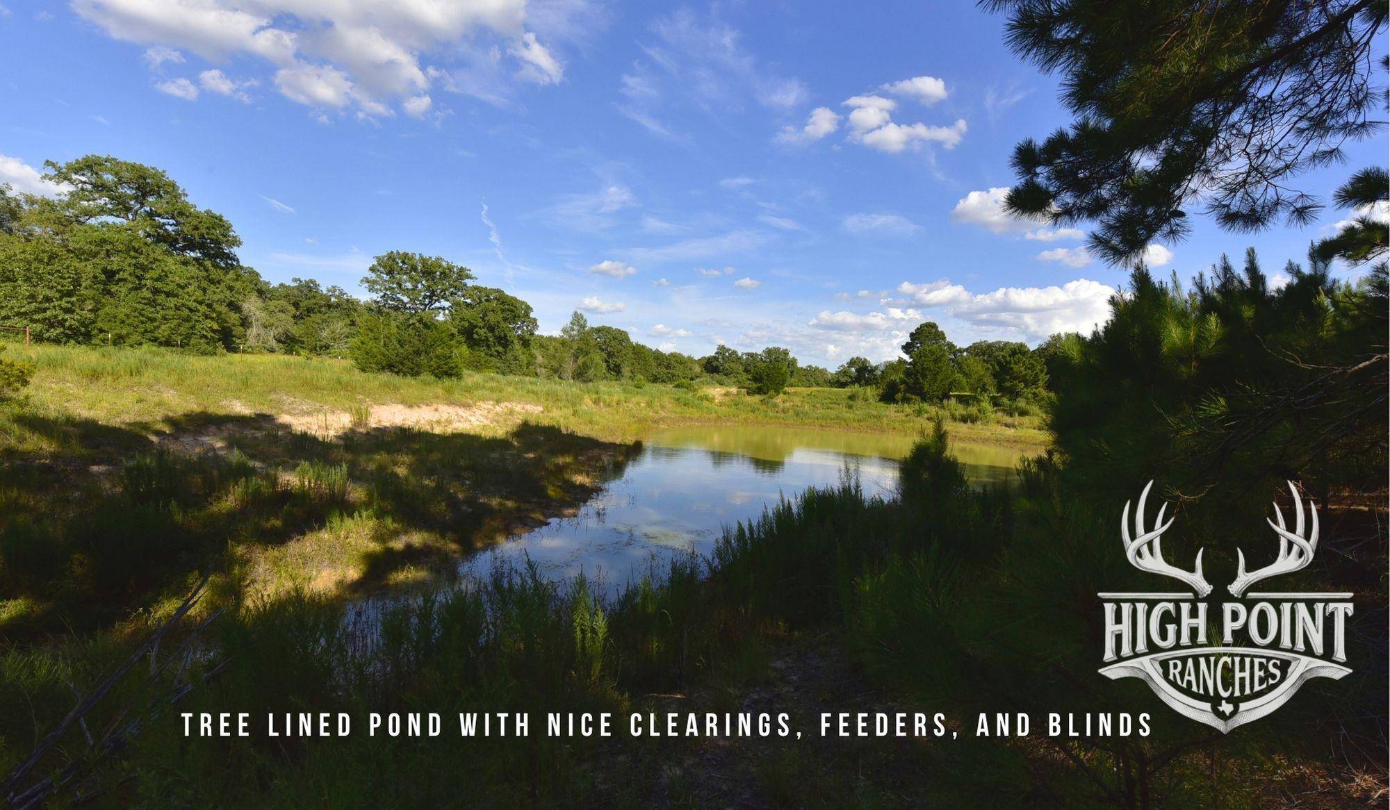 TBD Ranch Road off CR 405 (+/- 60 acres), Lexington, TX 78947