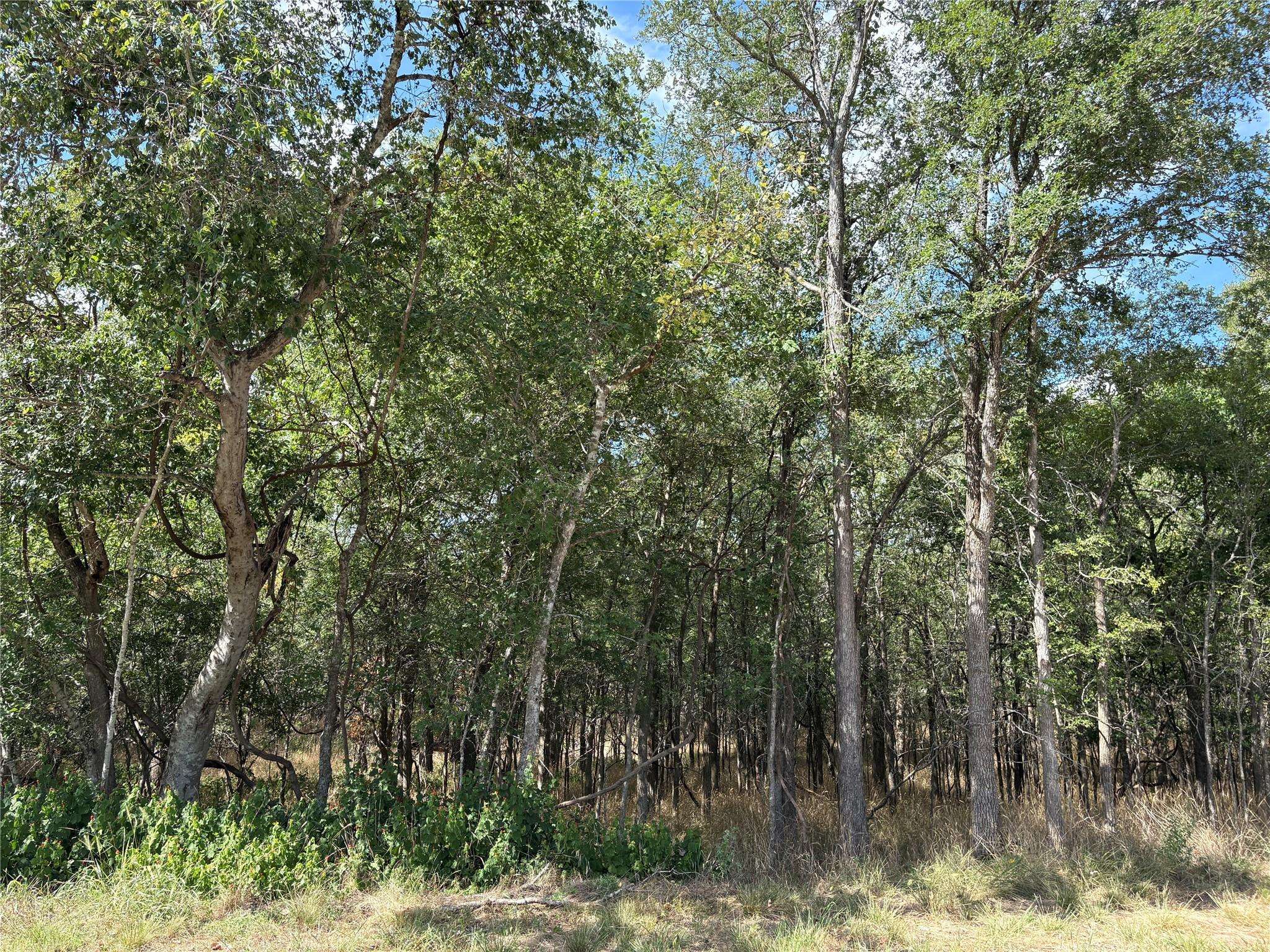 103 & 105 W Kikipua LN, Bastrop, TX 78602