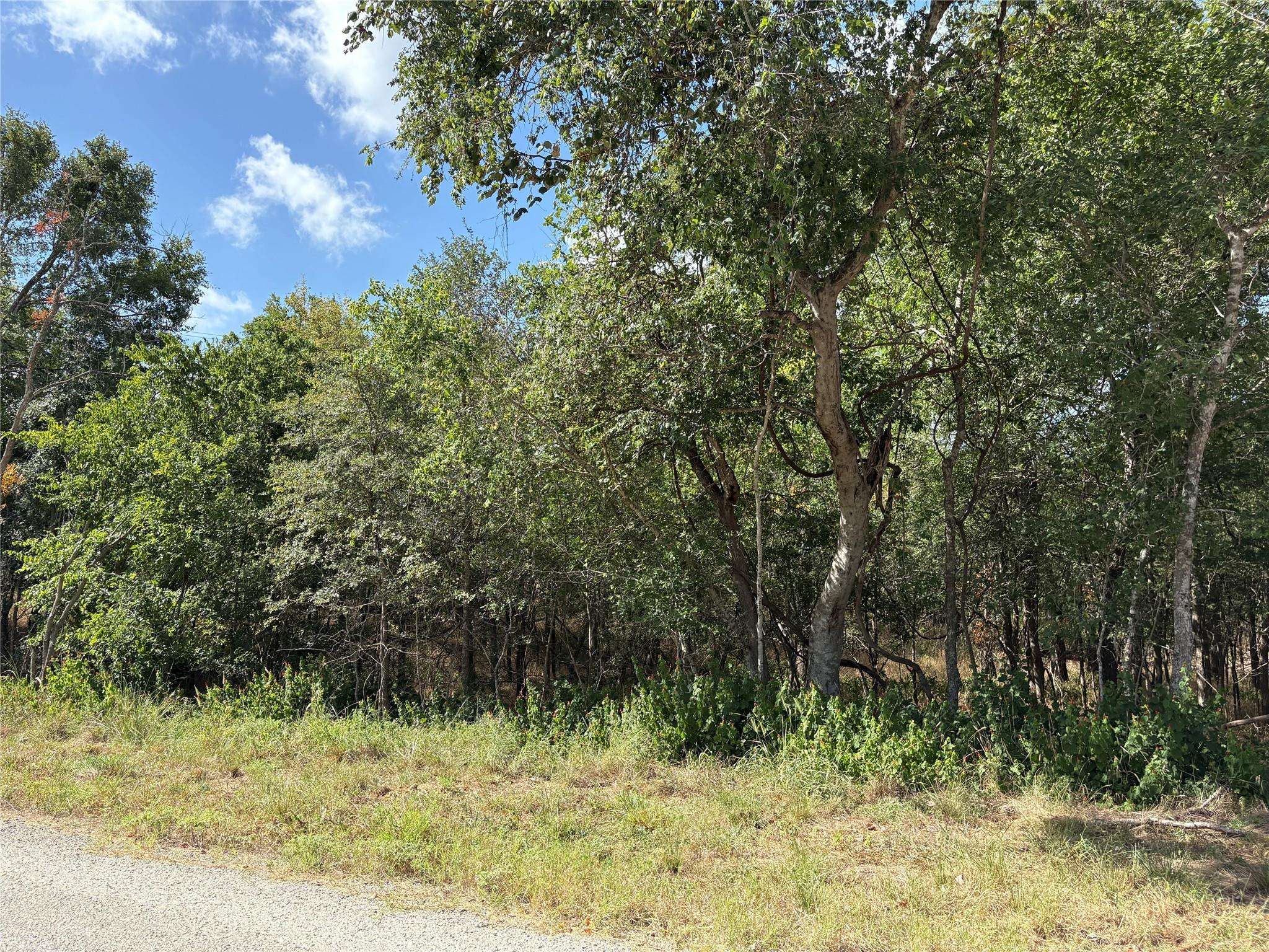 103 & 105 W Kikipua LN, Bastrop, TX 78602