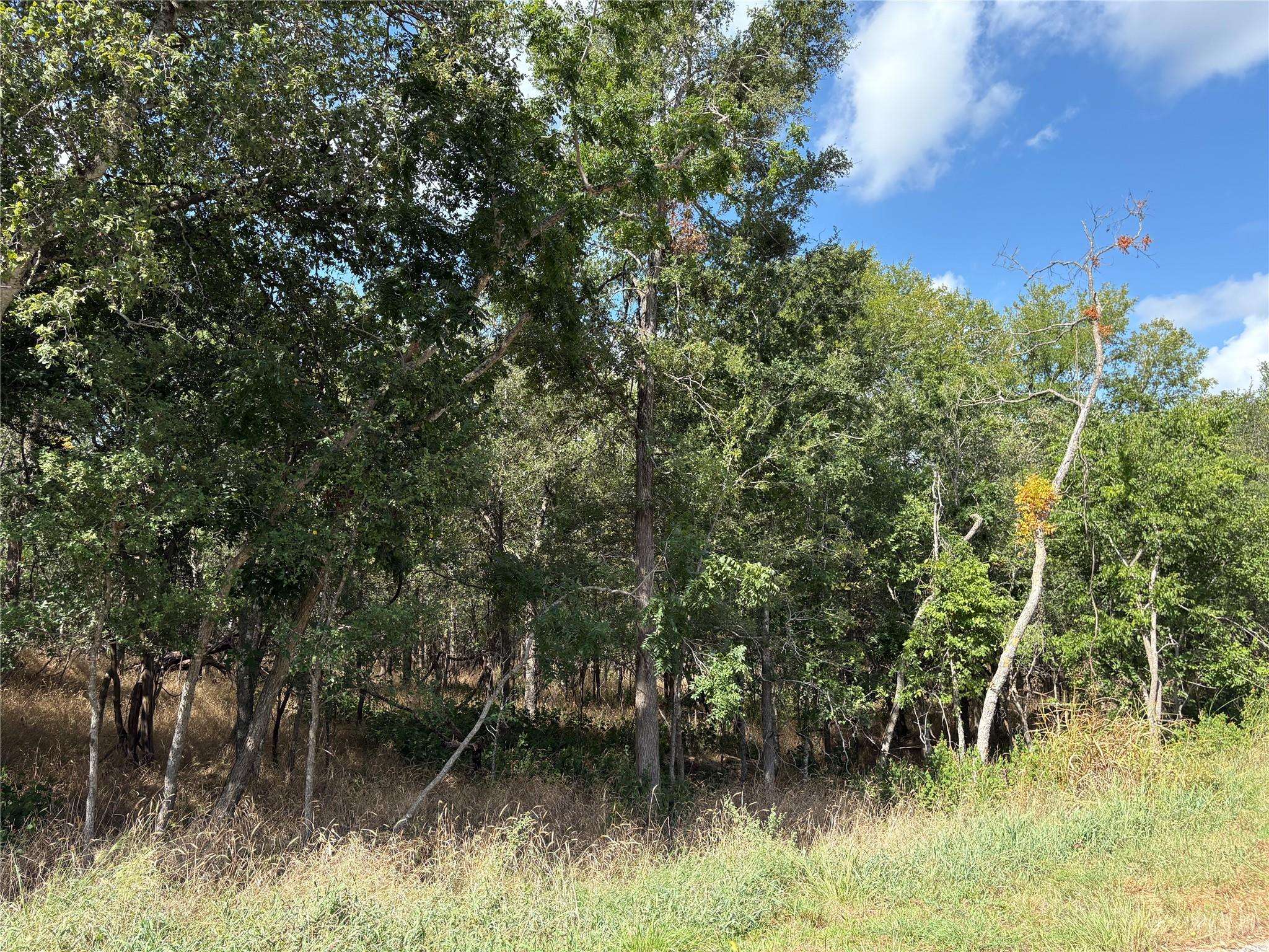103 & 105 W Kikipua LN, Bastrop, TX 78602