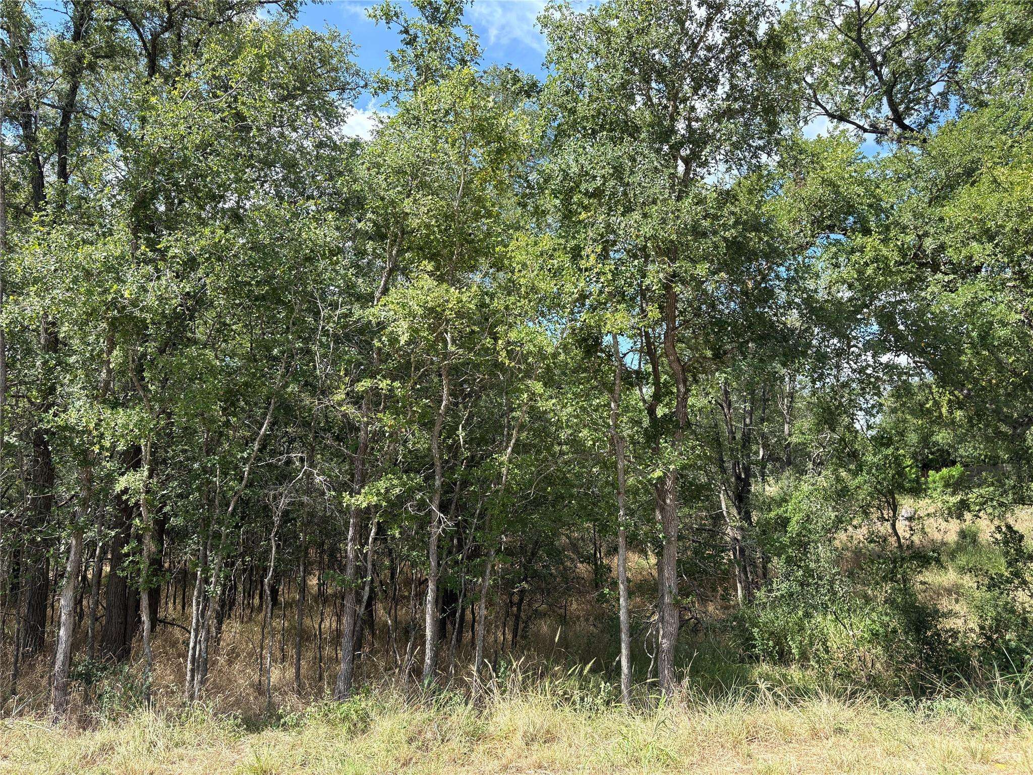 103 & 105 W Kikipua LN, Bastrop, TX 78602