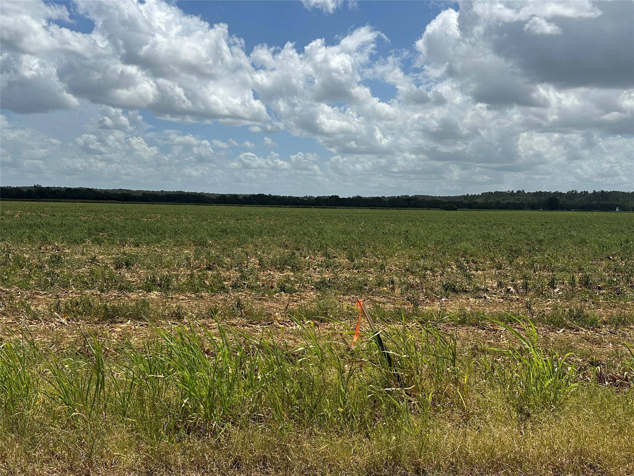 0000 Rabbs Prairie RD, La Grange, TX 78945