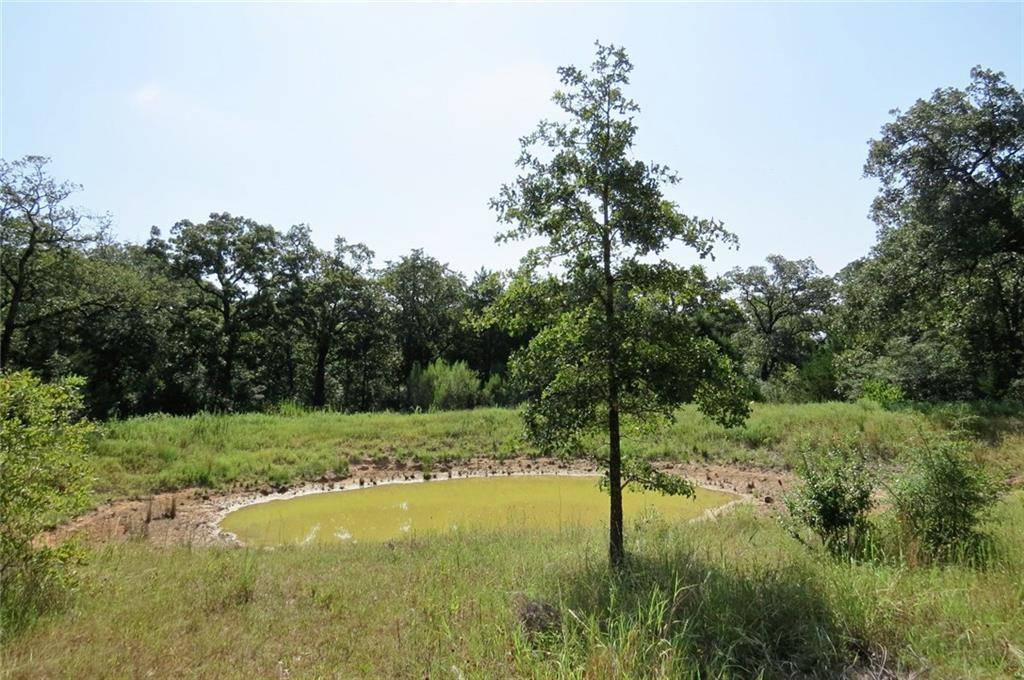 440 Silver Springs LN, Caldwell, TX 77838
