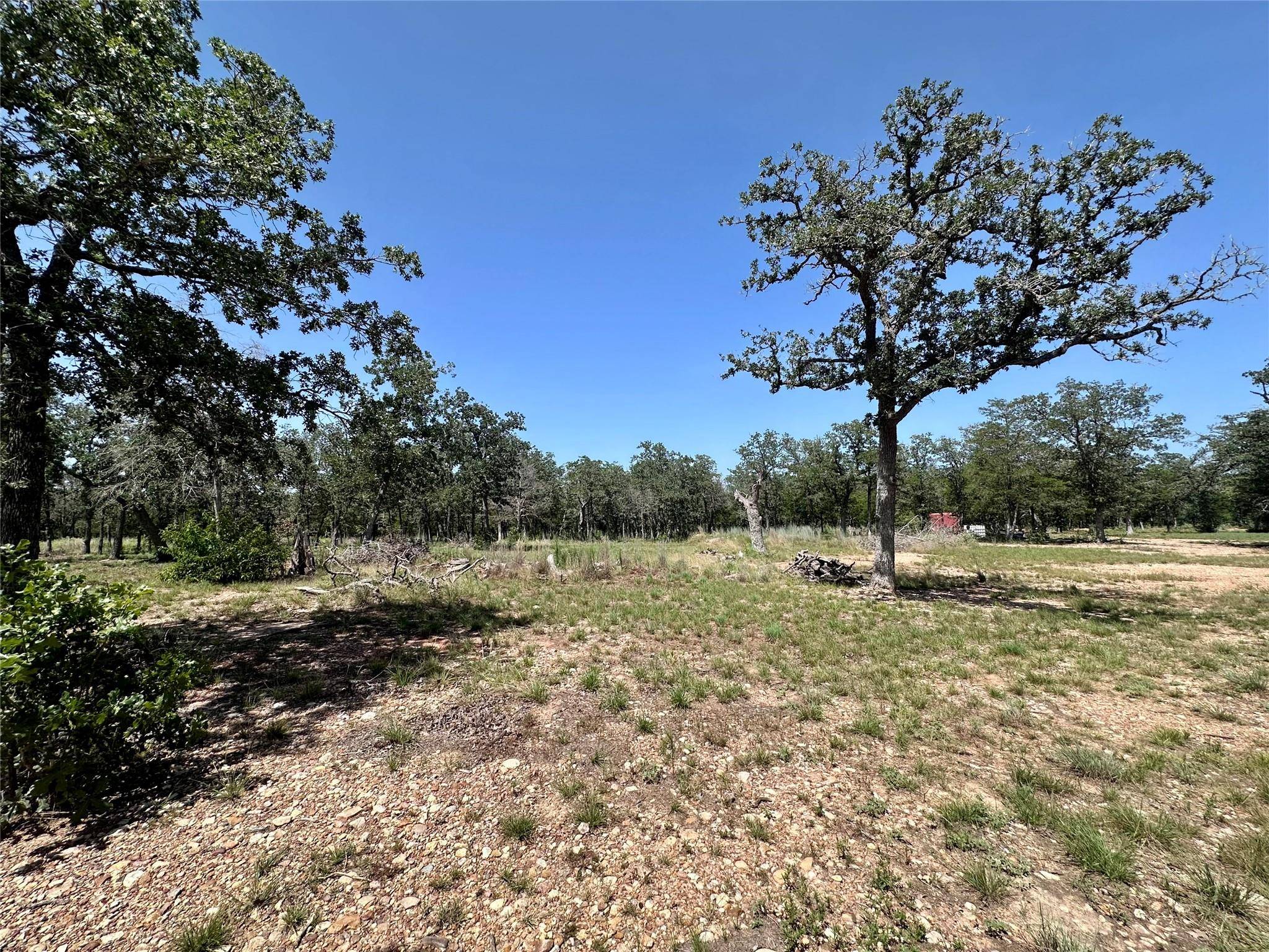 TBD Edgewood TRL, Paige, TX 78659