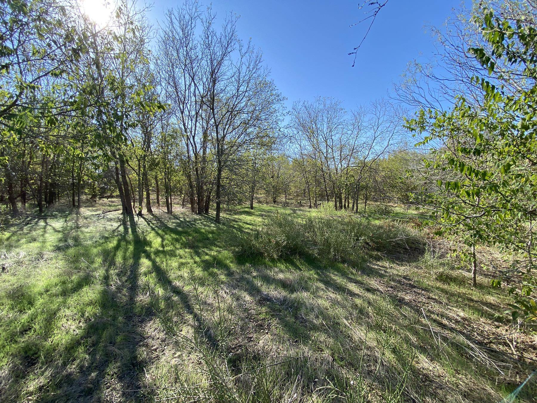7603 Timber Hills DR, Del Valle, TX 78617