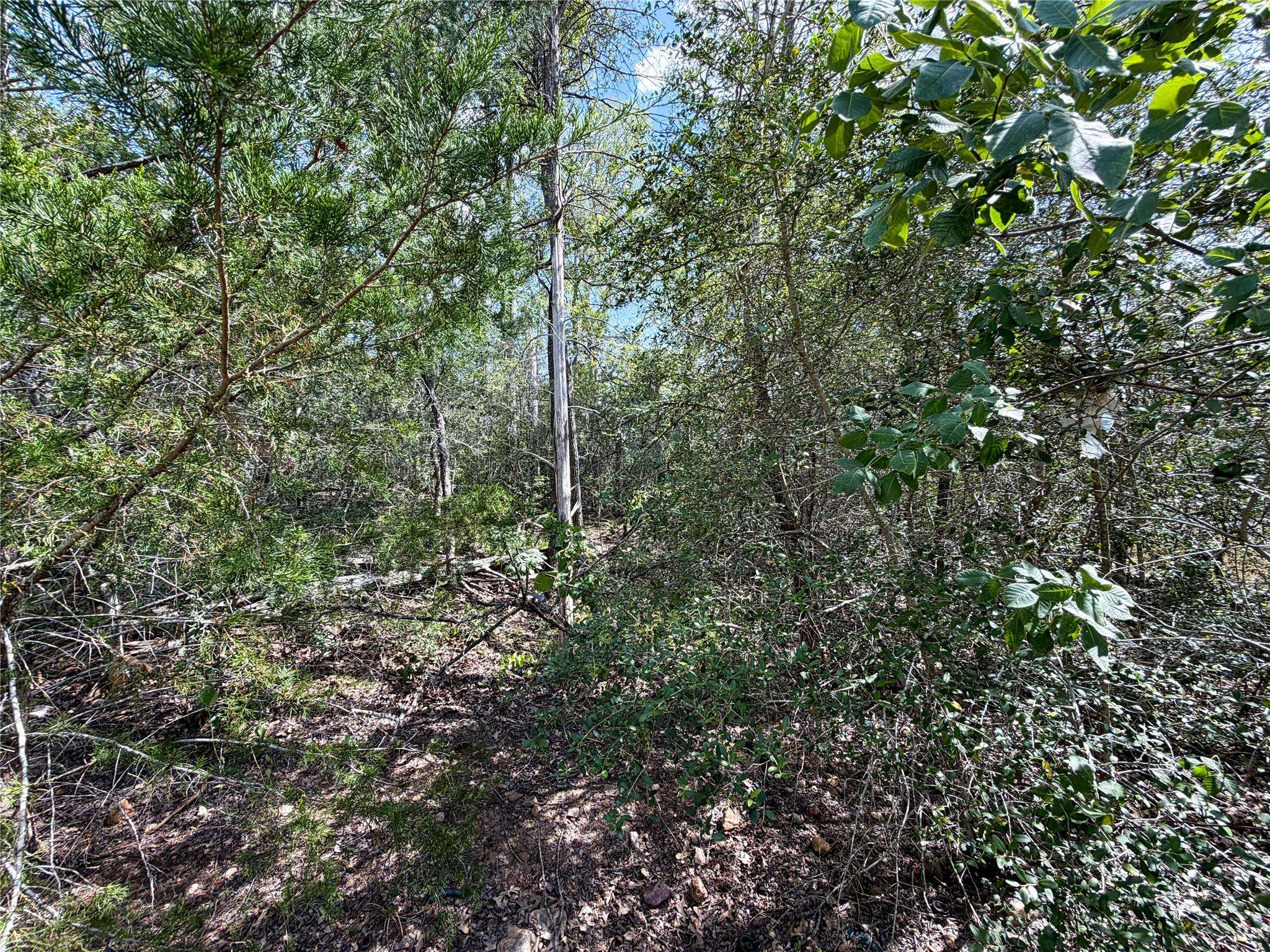 103 Nuupia CT, Bastrop, TX 78602