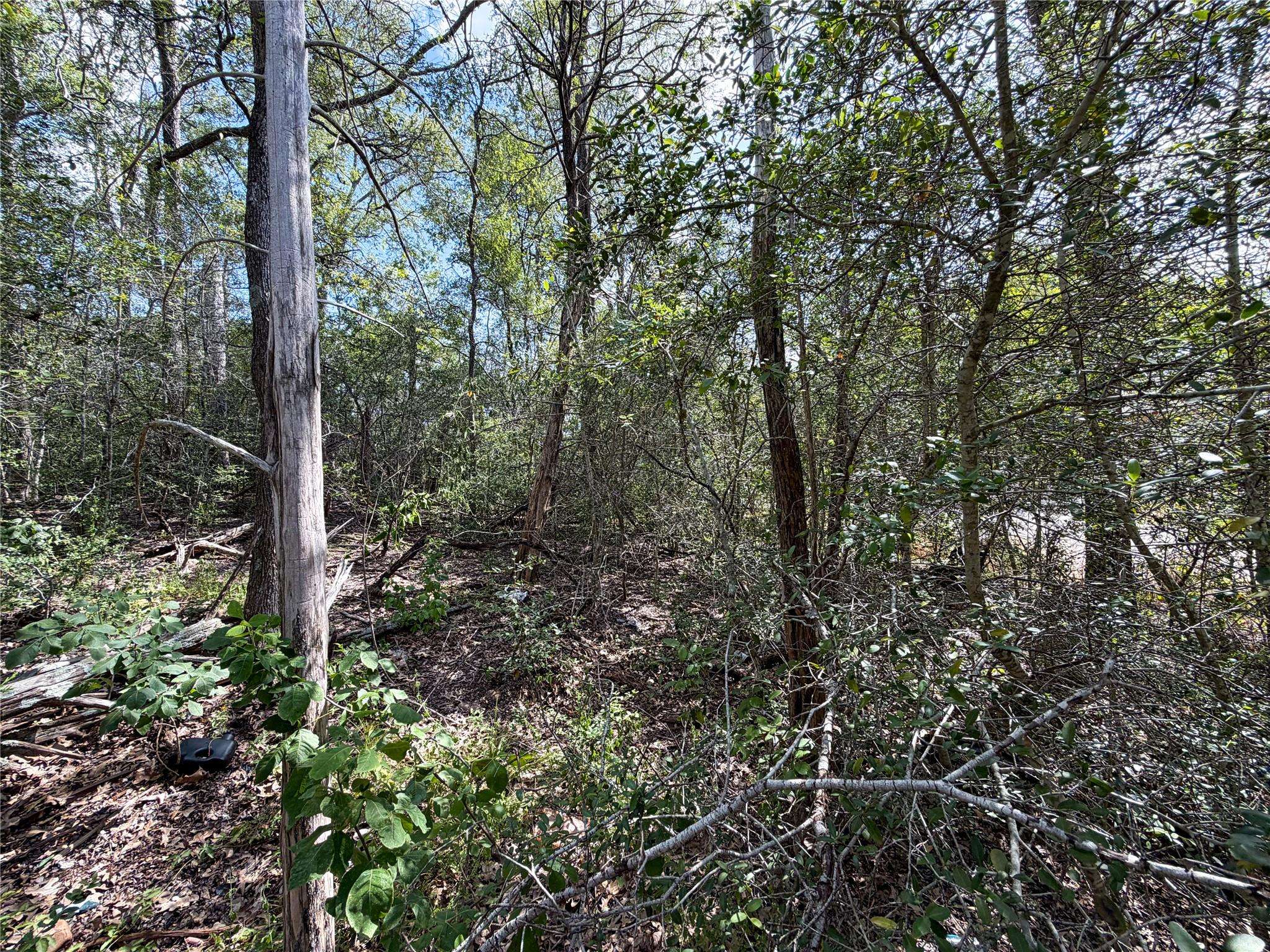 103 Nuupia CT, Bastrop, TX 78602