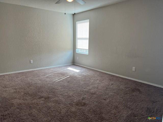 1913 Green Warbler, New Braunfels, TX 78130