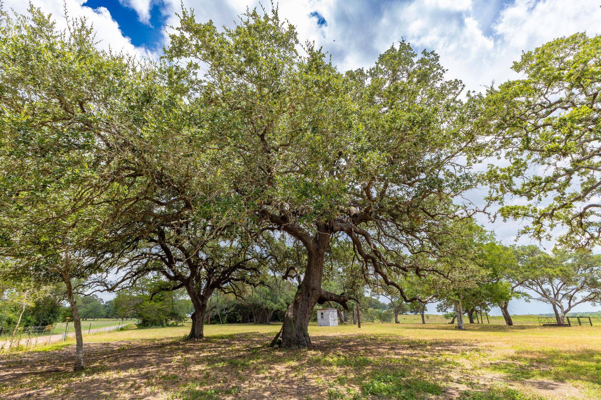 2160 (Tract #5) Baca LOOP, Flatonia, TX 78941