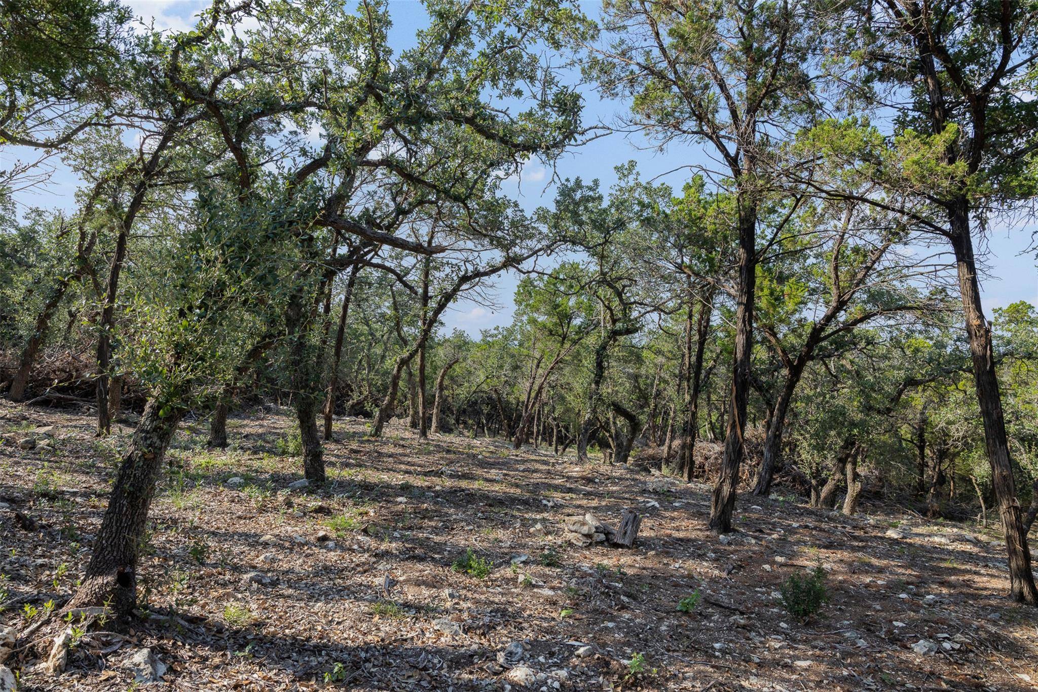 Tract 4 Mount Olive School RD, Wimberley, TX 78676