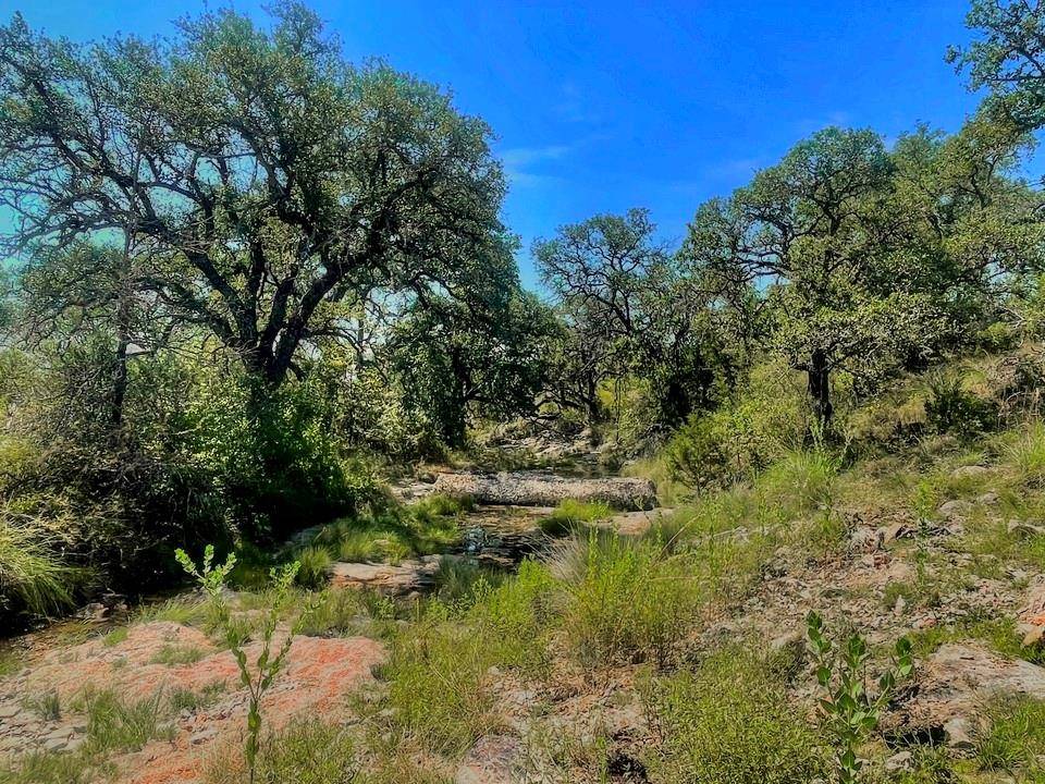 Lot 8 Legacy Ridge, Burnet, TX 78611