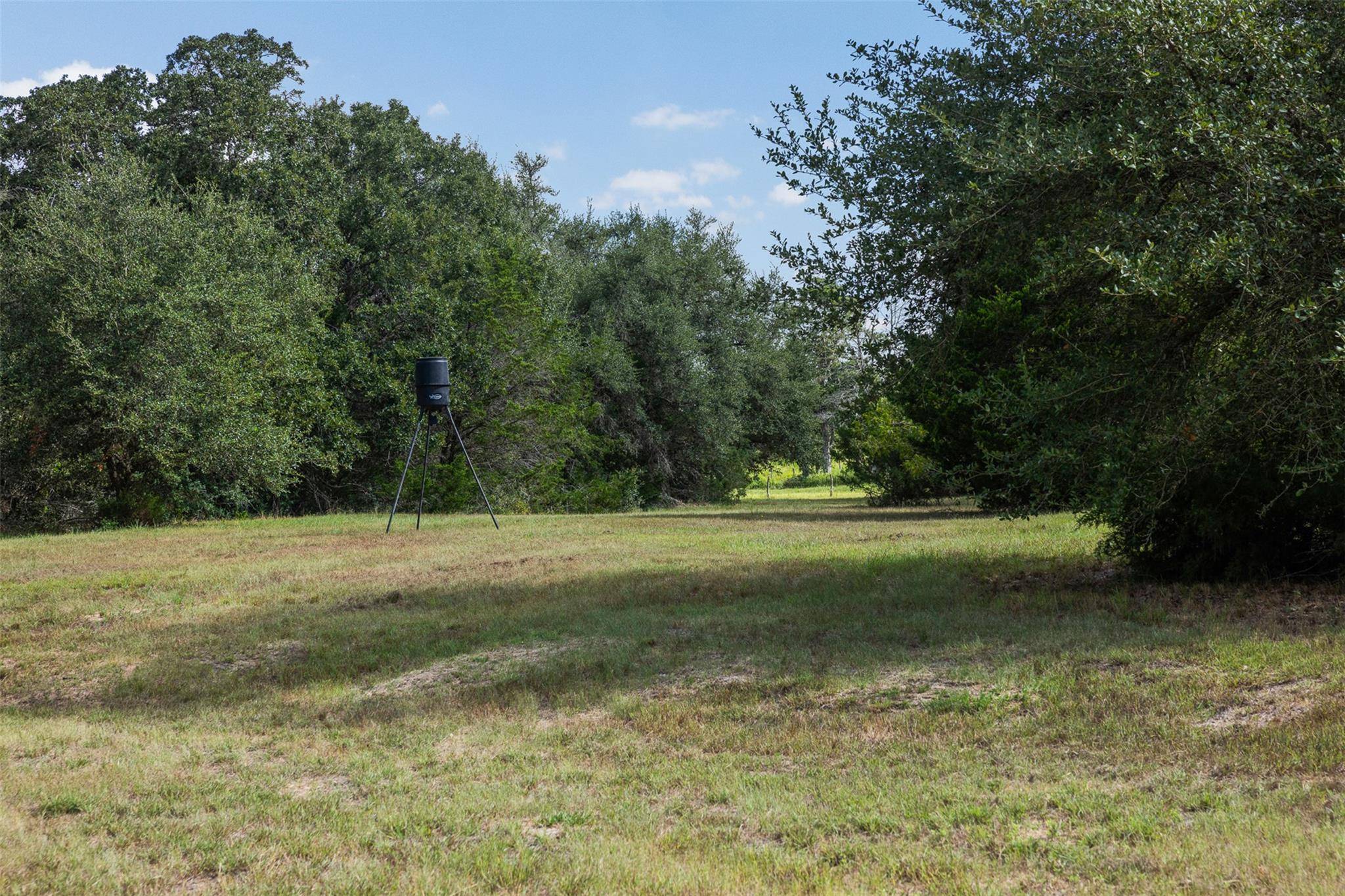 3555 County Road 430, Dime Box, TX 77853