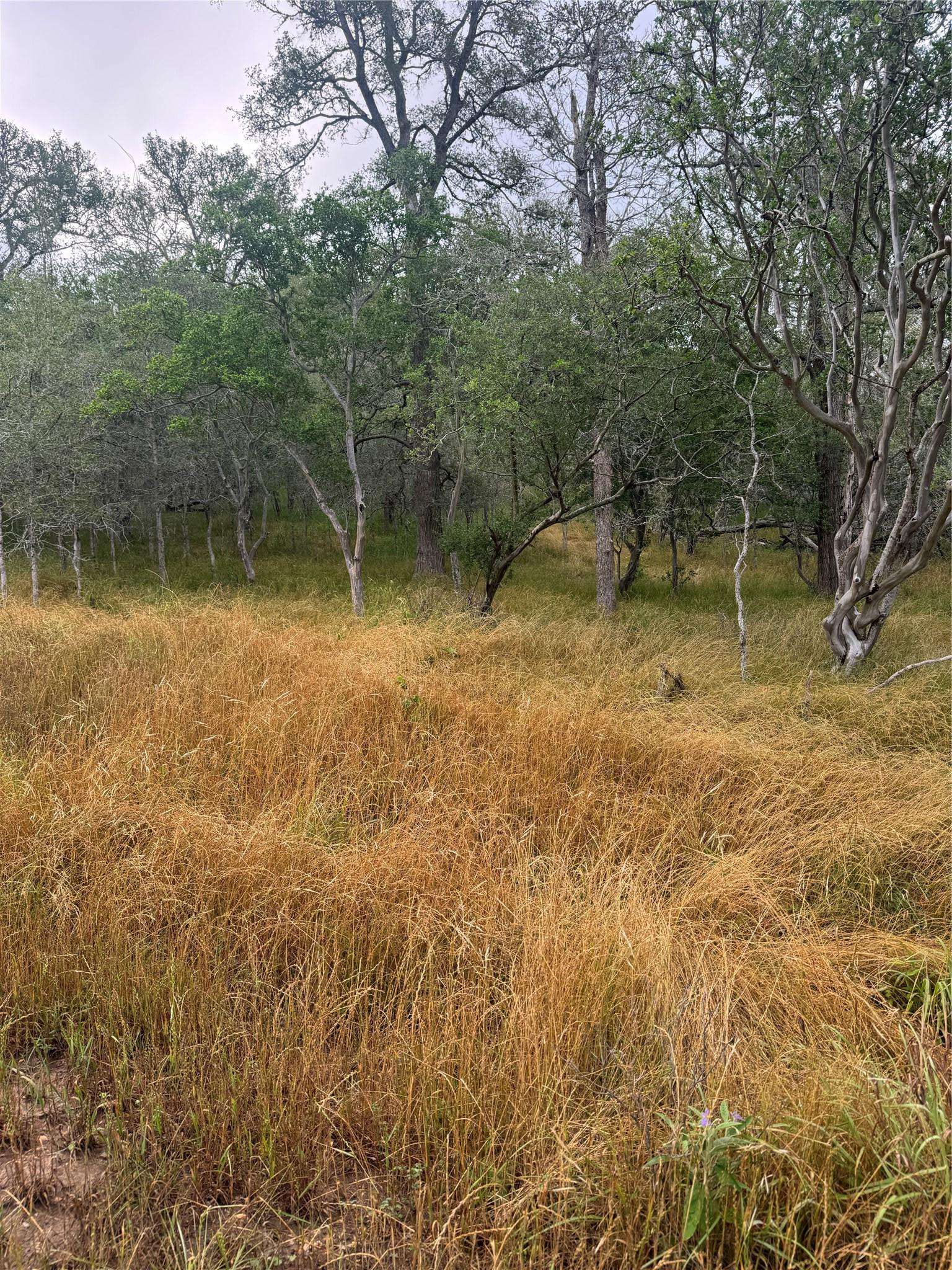 107 and 109 Hauula CT, Bastrop, TX 78602
