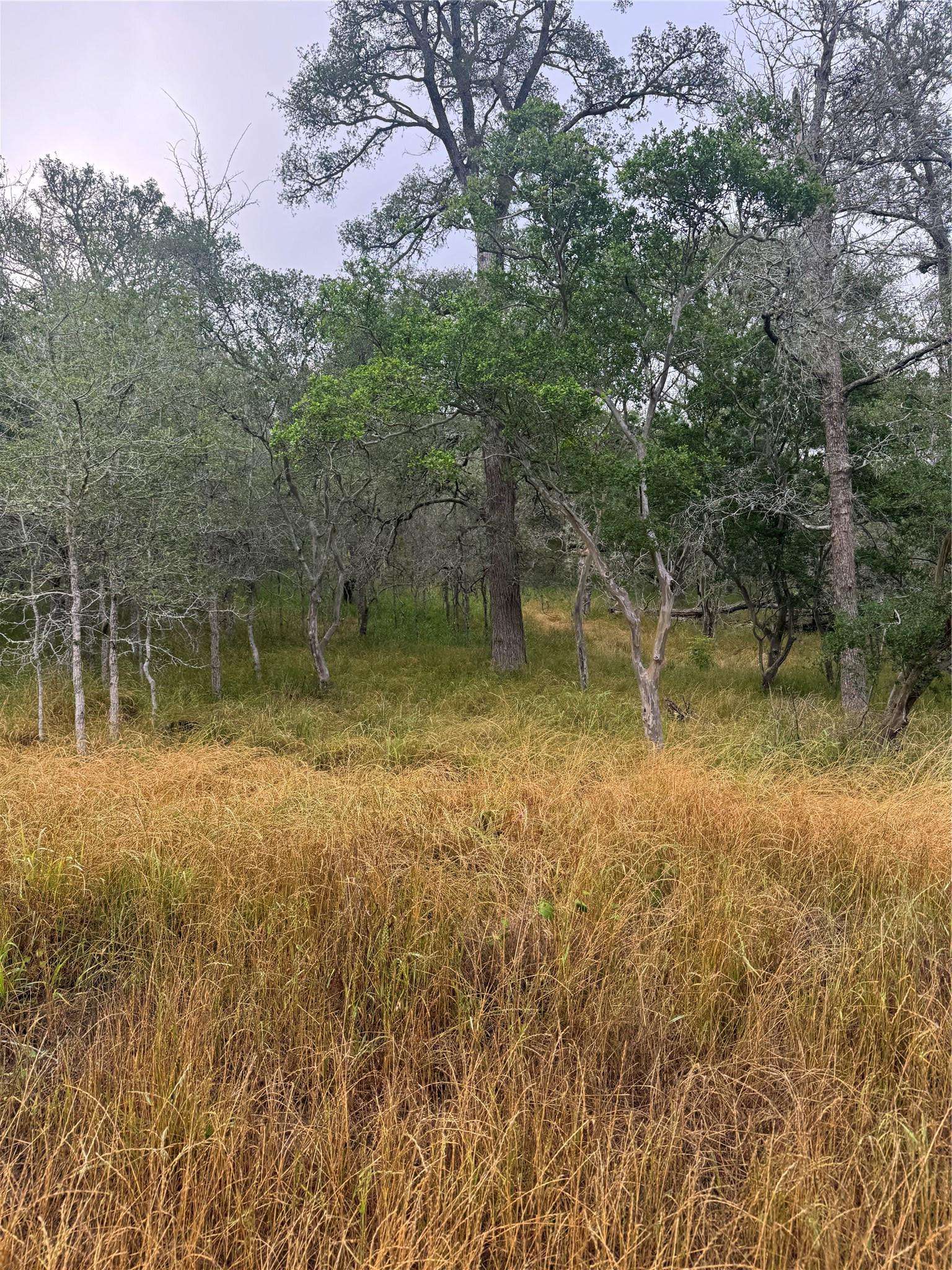 107 and 109 Hauula CT, Bastrop, TX 78602