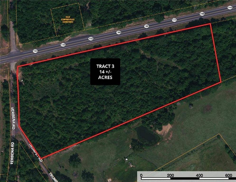 TBD TX Hwy 155 & Verbena Rd - Tract 3, Ore City, TX 75683