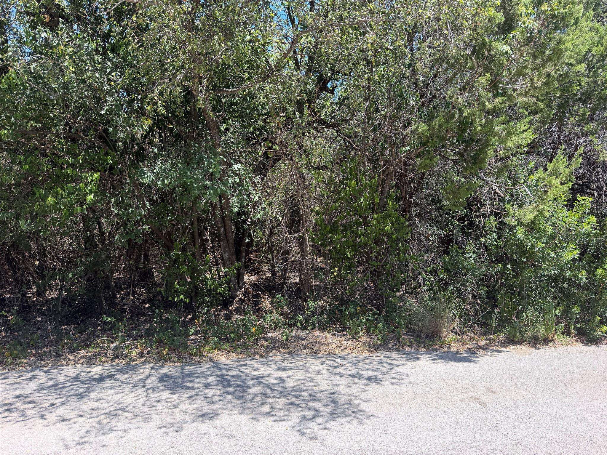 TBD Great Eagle TRL, Austin, TX 78734