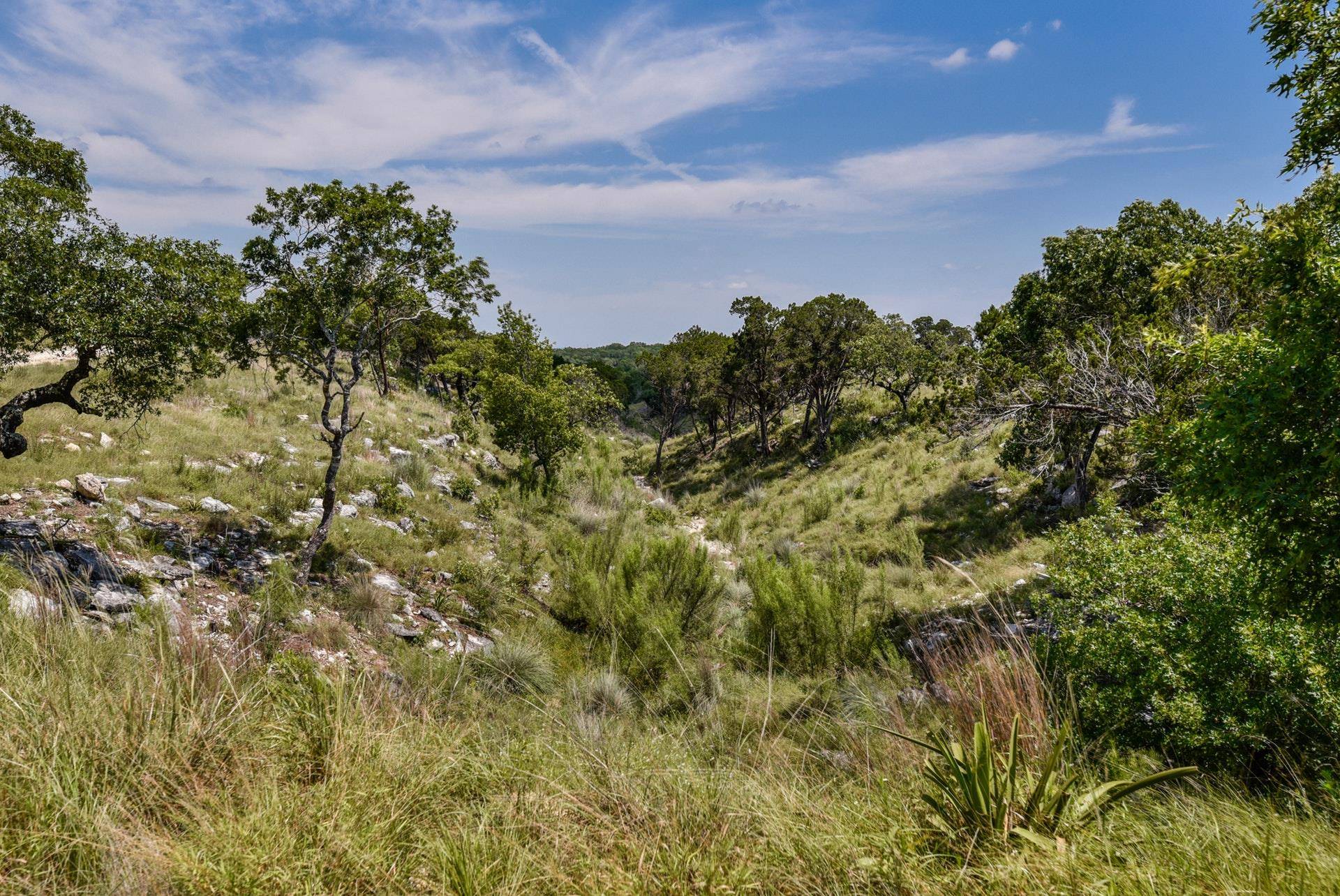 Address not disclosed, Dripping Springs, TX 78620