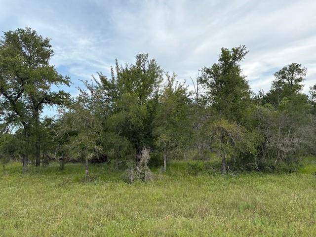 Lot #1 Willis Ln LN, Smithville, TX 78957