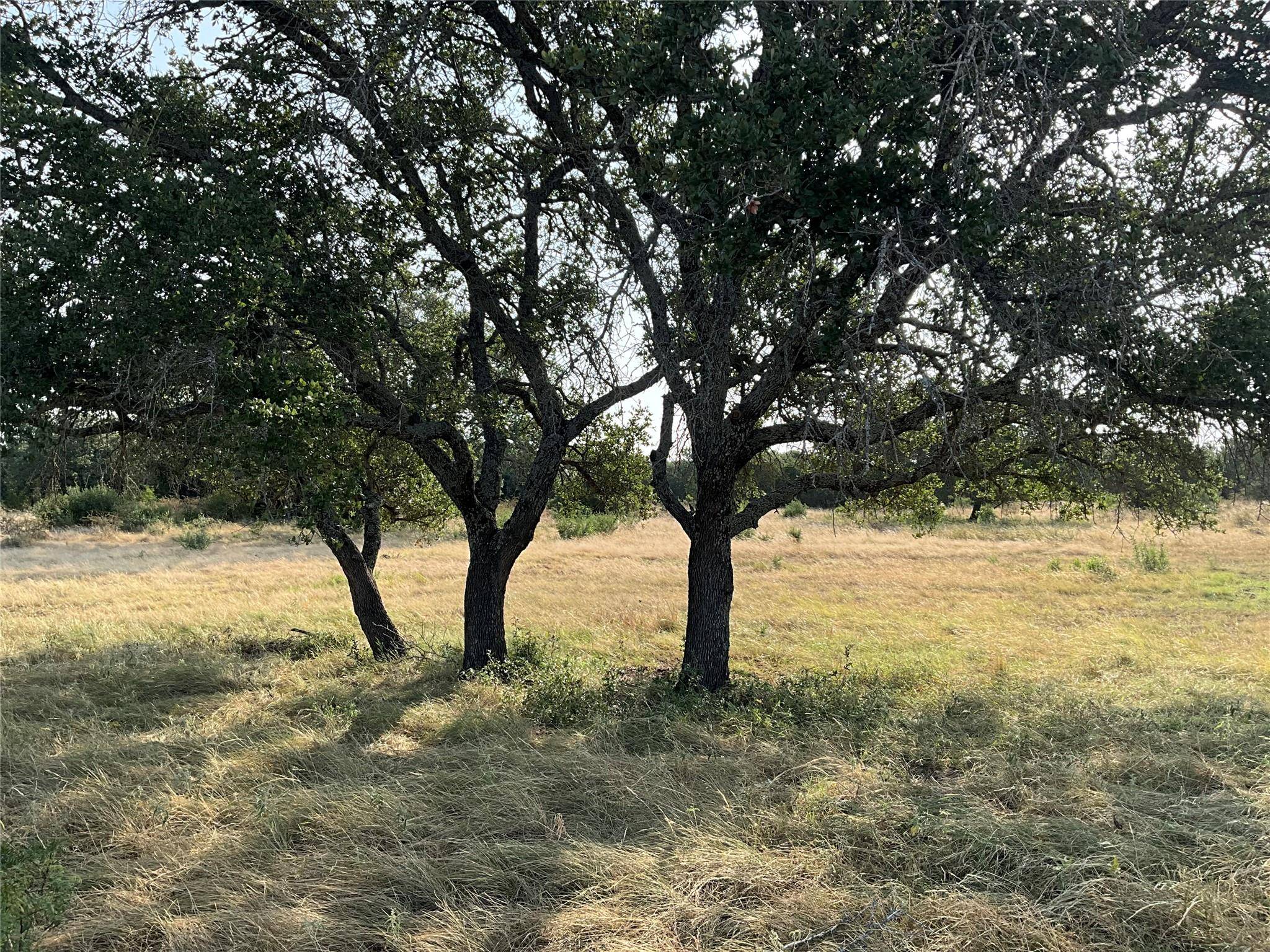 Address not disclosed, San Saba, TX 76877