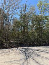 Lot 539 Iva LN, Bastrop, TX 78602