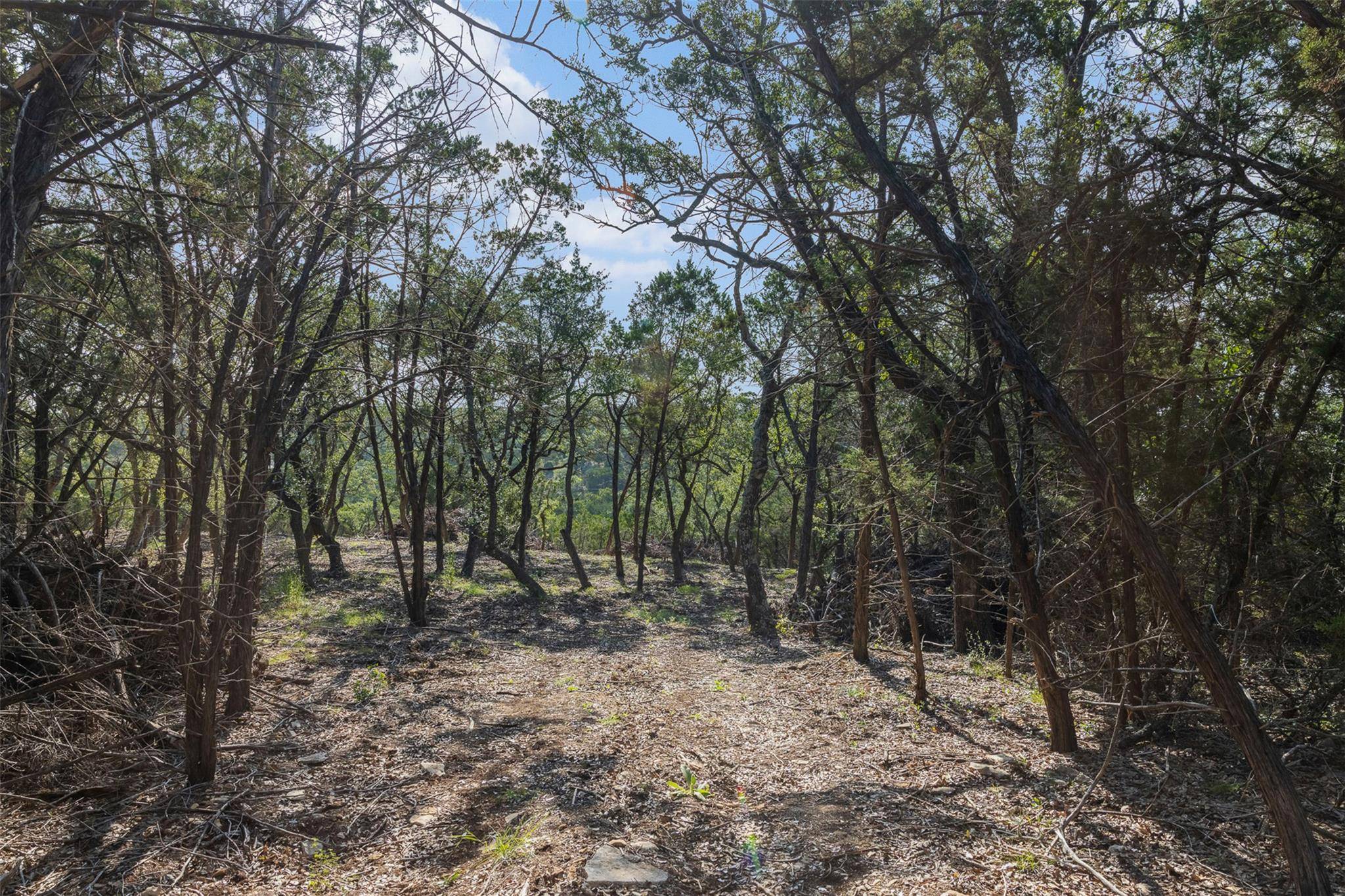 Tract 4 Mount Olive School RD, Wimberley, TX 78676