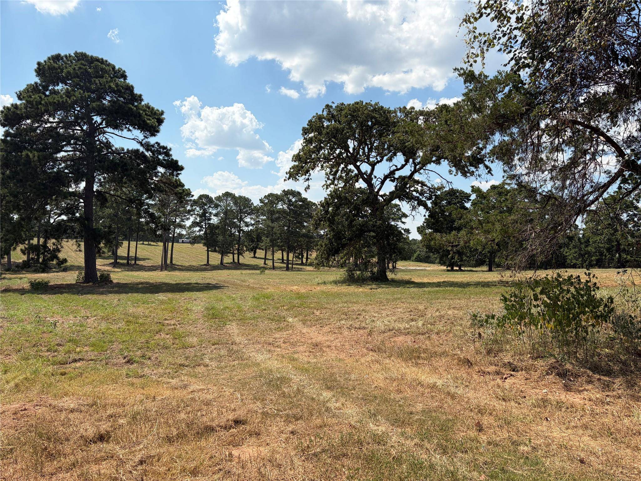 170 Split Oak RD, Smithville, TX 78957
