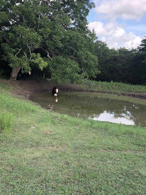 000 CR 210, Hallettsville, TX 77964