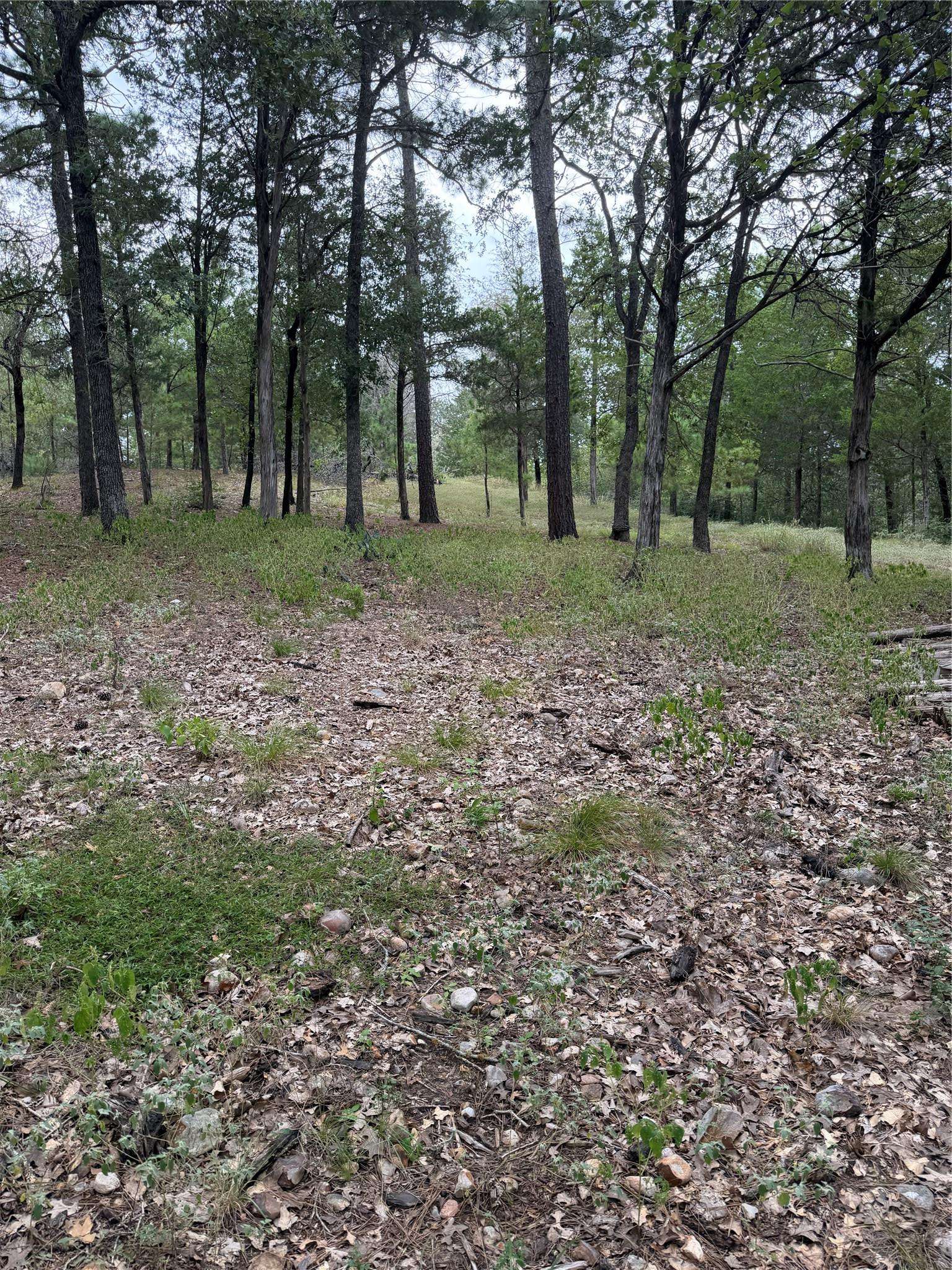 Lot 291 Aka CT, Bastrop, TX 78602
