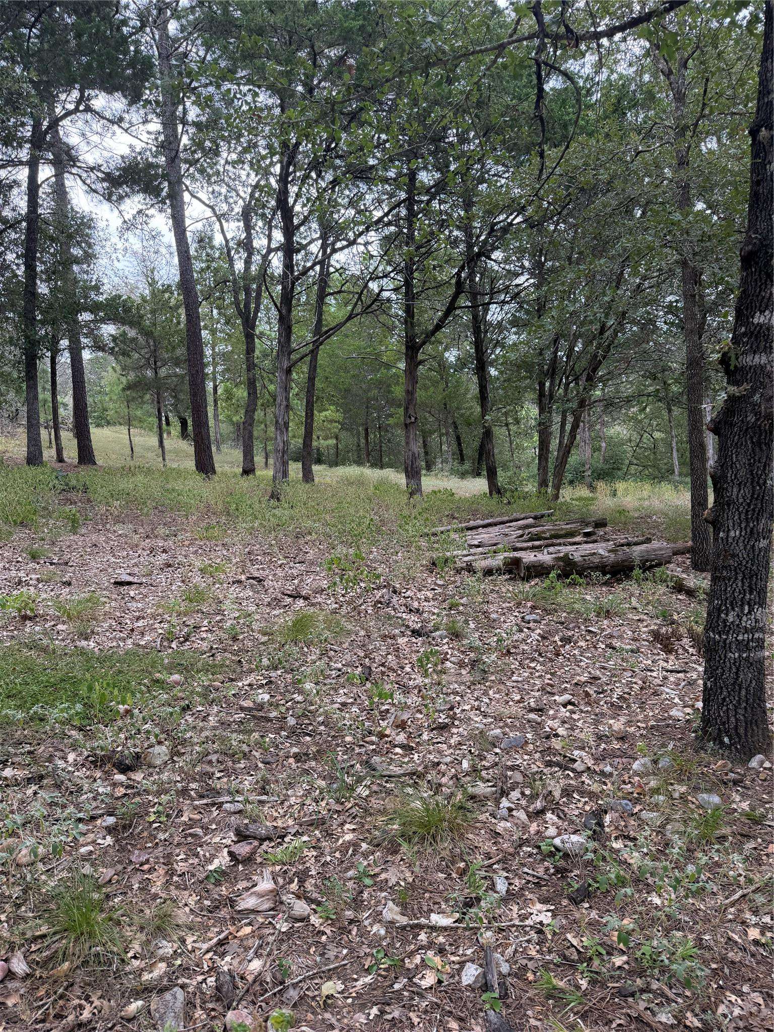 Lot 291 Aka CT, Bastrop, TX 78602