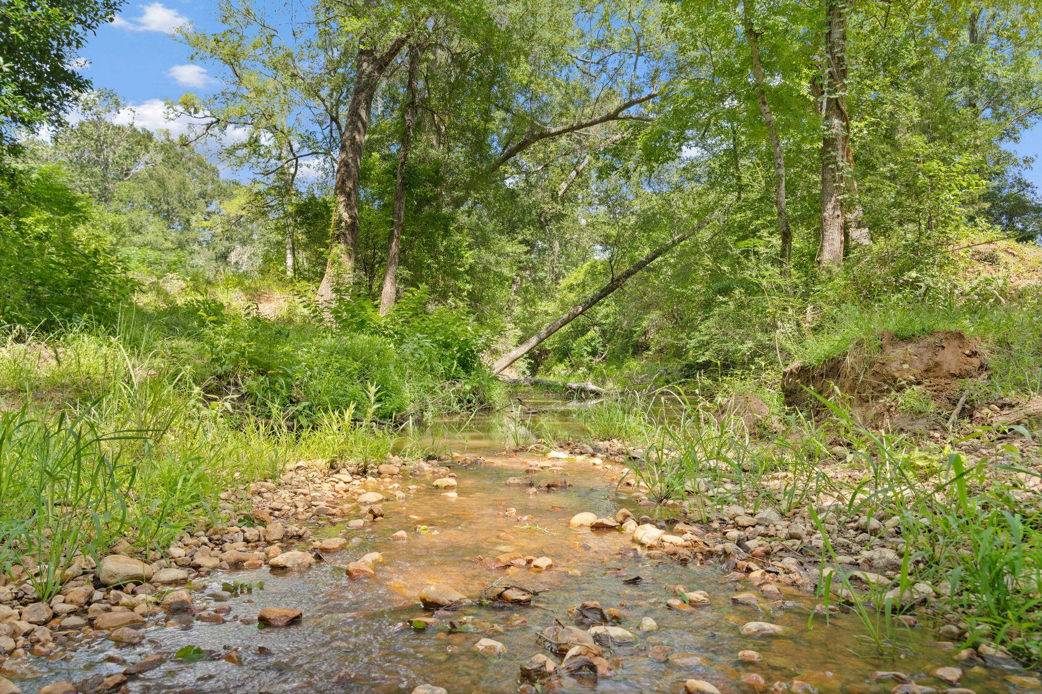 TBD (Tracts 11 & 12) St Delight RD, Paige, TX 78659