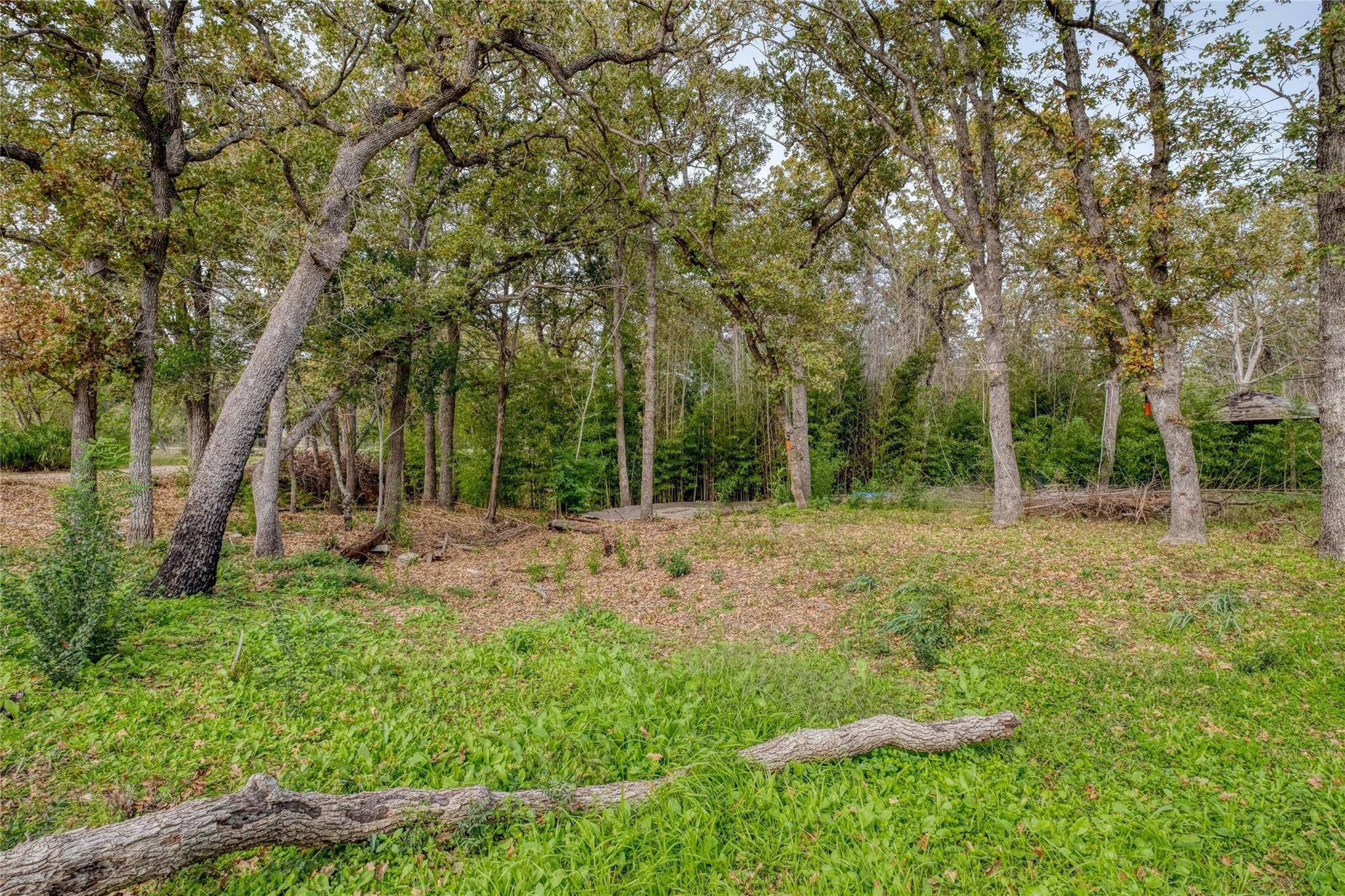 201 Artesian DR, Cedar Creek, TX 78612