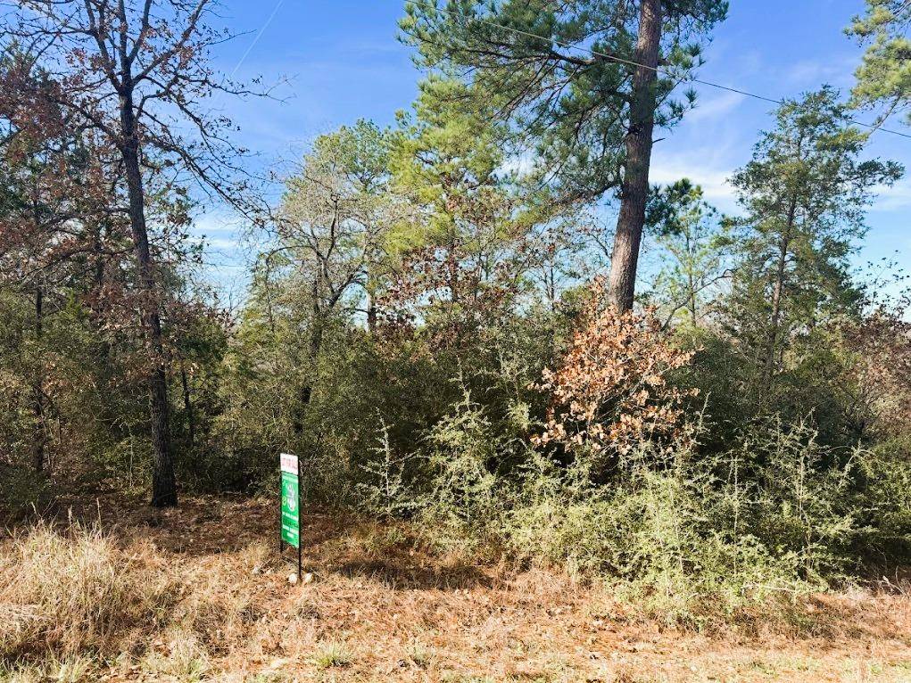 106 Olomana CT, Bastrop, TX 78602