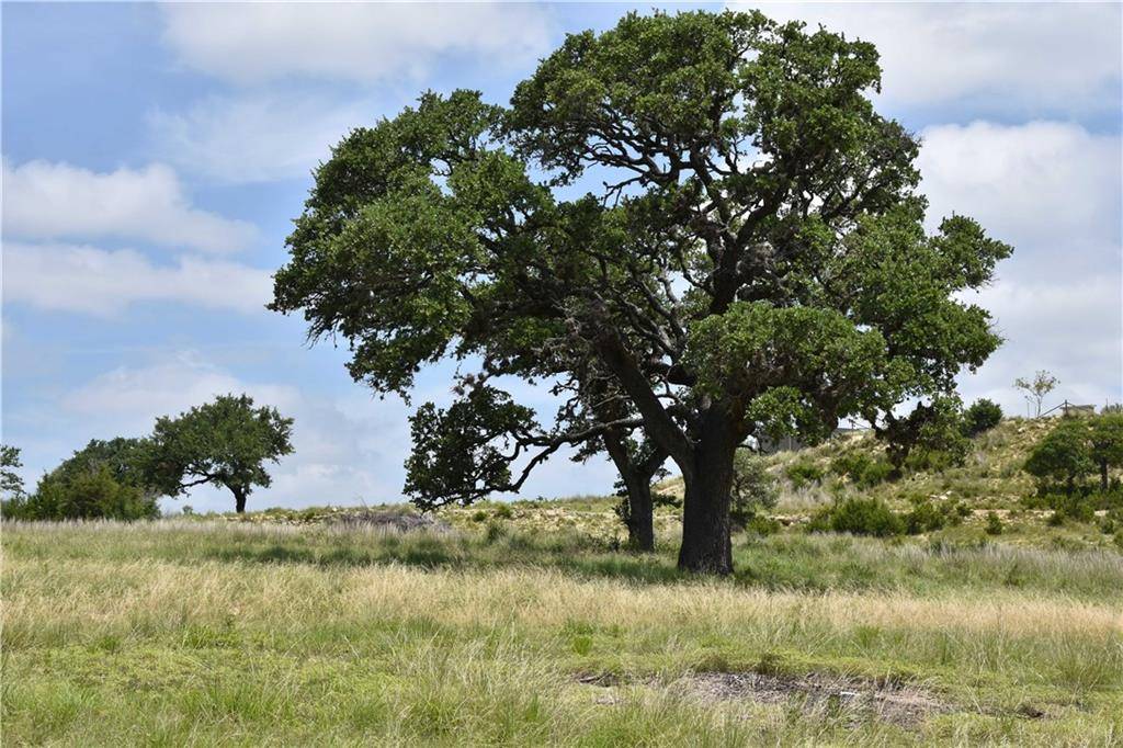 Address not disclosed, Fredericksburg, TX 78624